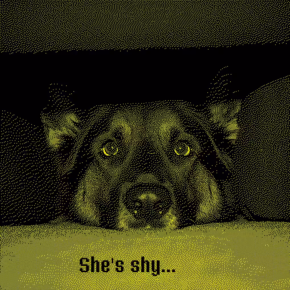 Watch Out for the Shy Ones