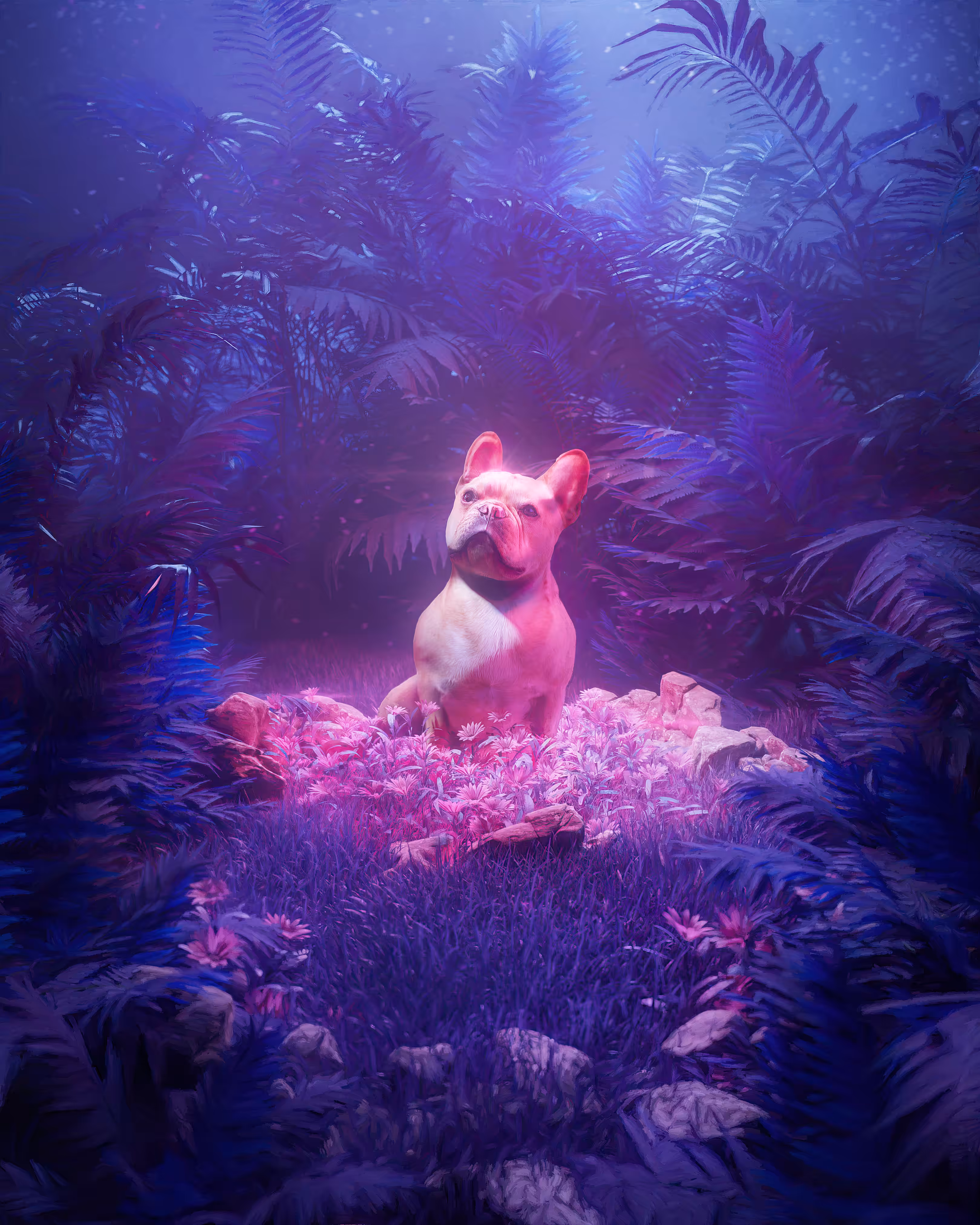 Neon Jungle French Bulldog