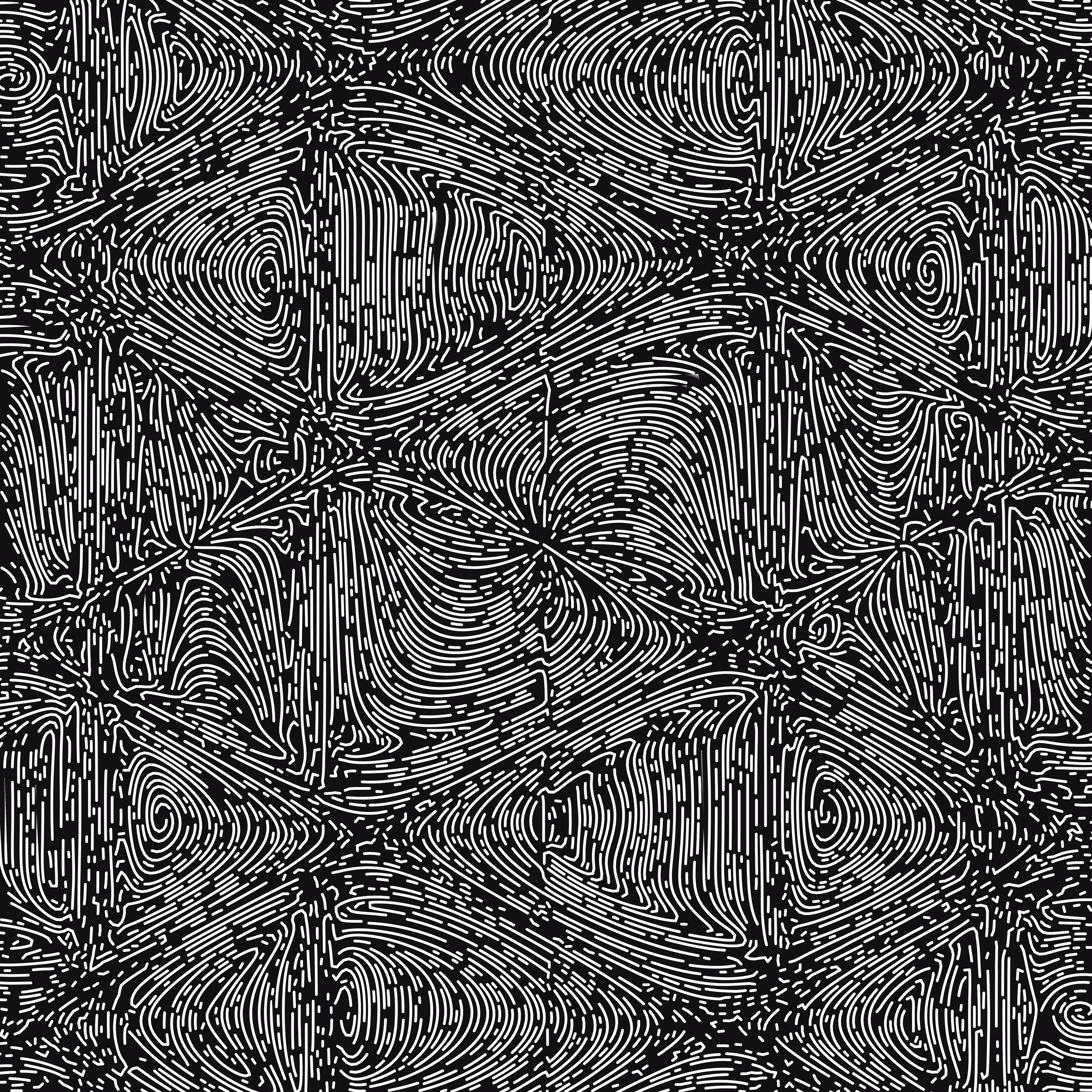 bw.curl.sinus.02