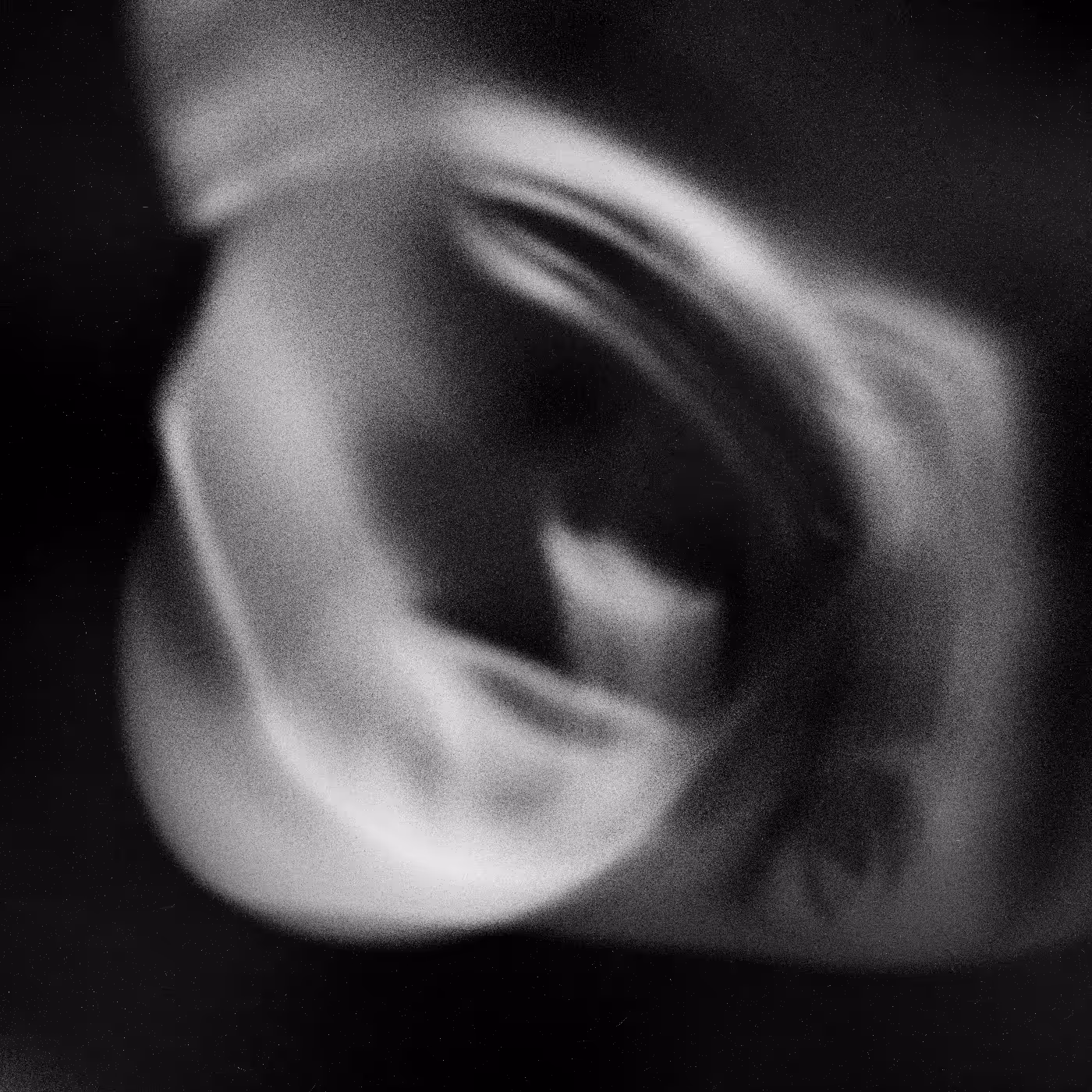 Emotional Shell #393