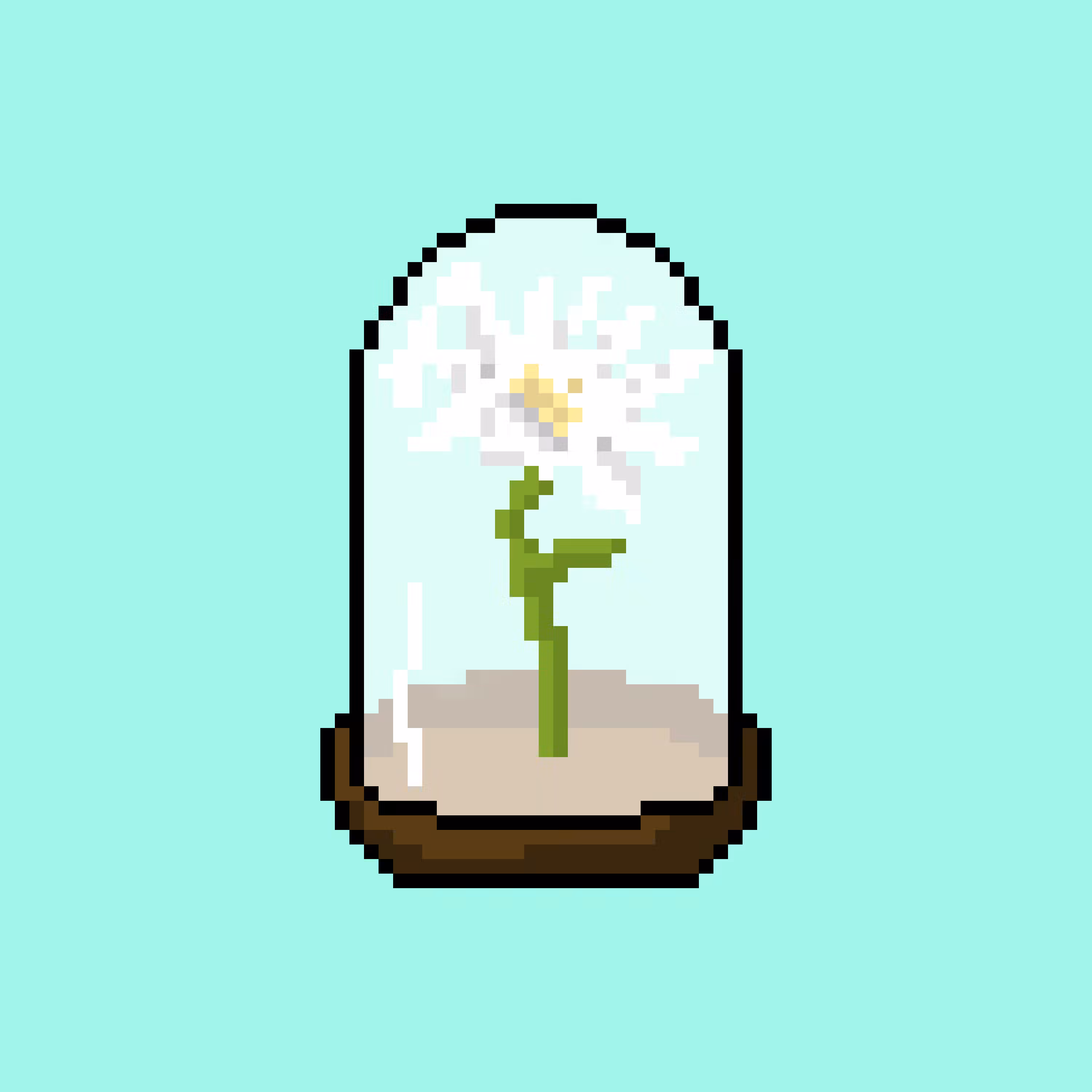 Dome 2 - Daisy