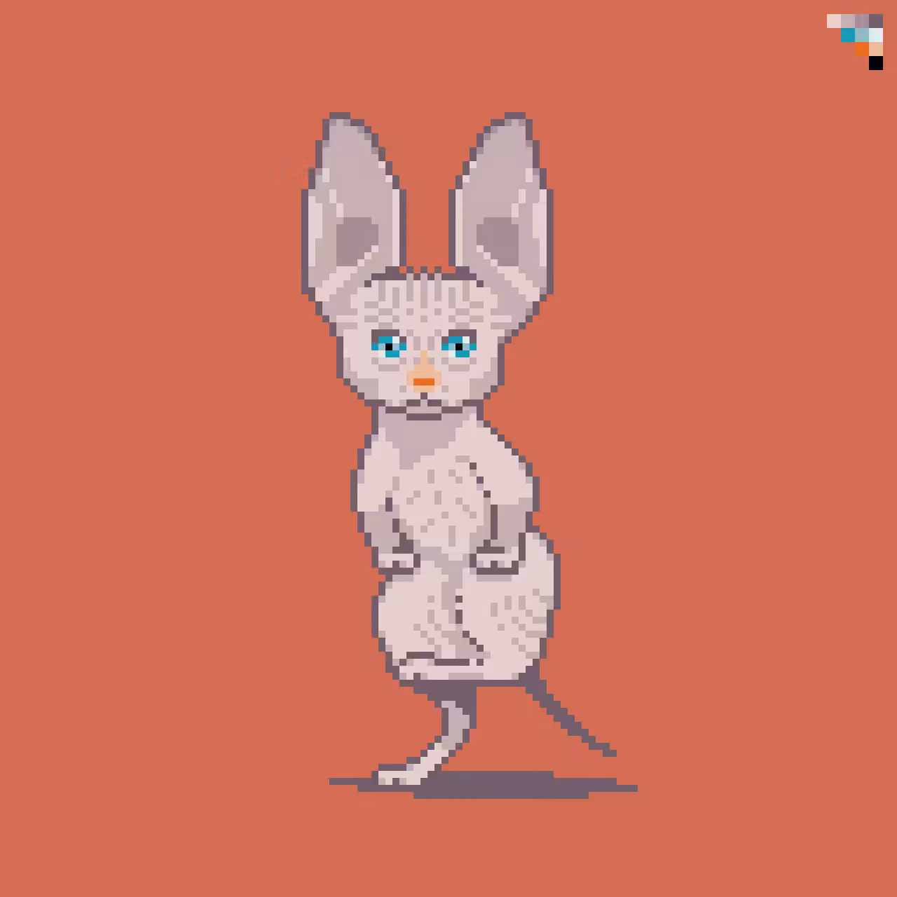 Square :: Sphynx Cat