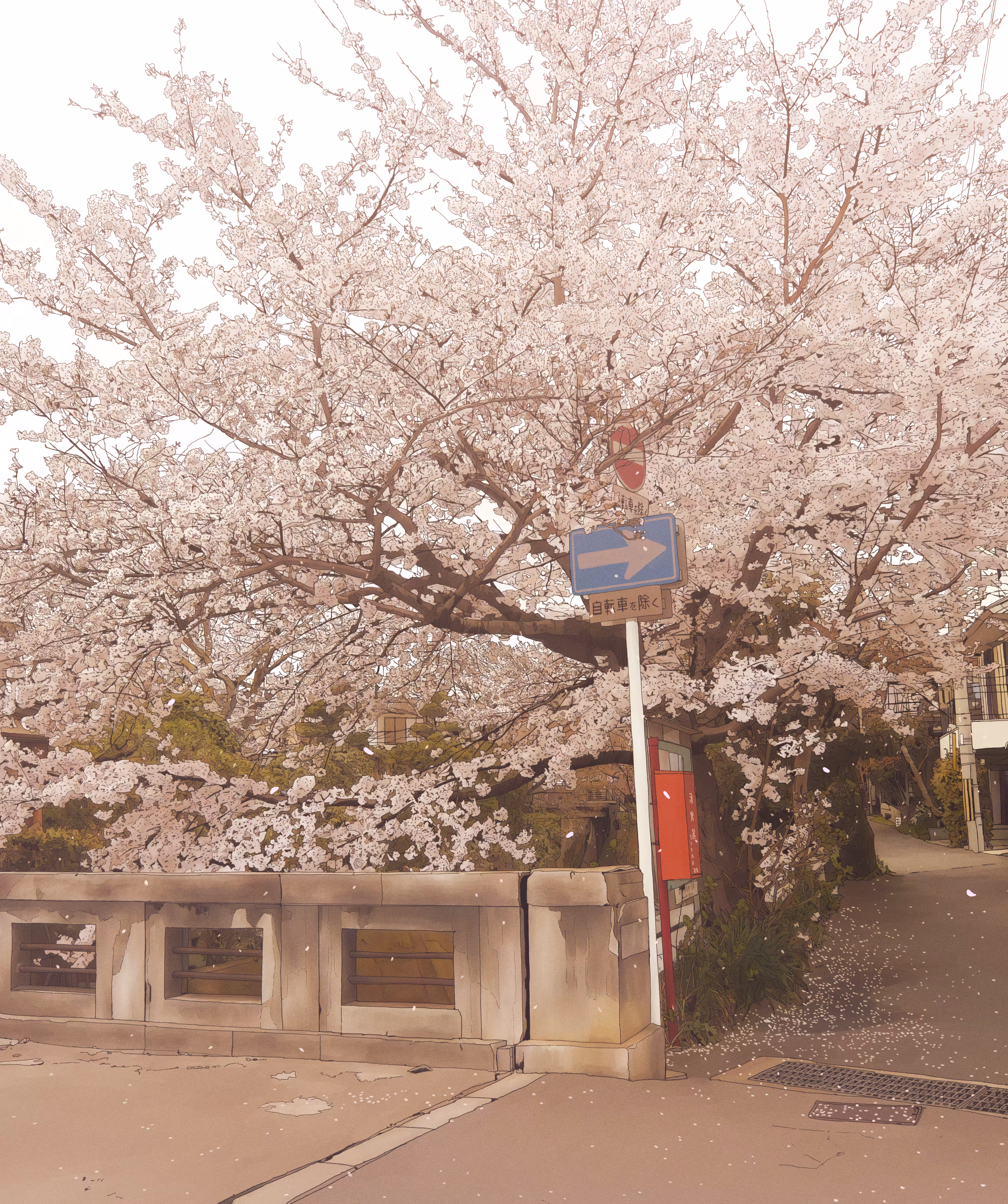 sakura - Characterless Version
