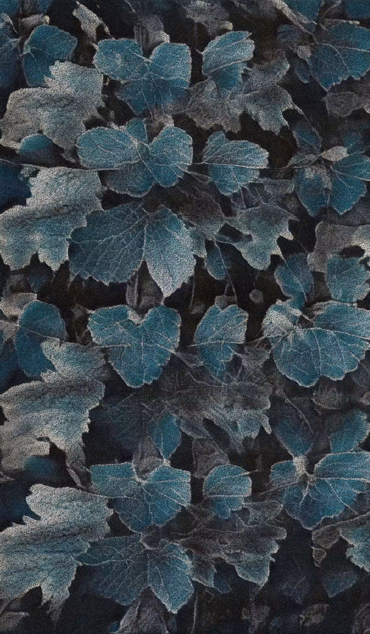 APPARATUS-VITIS: Apparatus Vitis #32