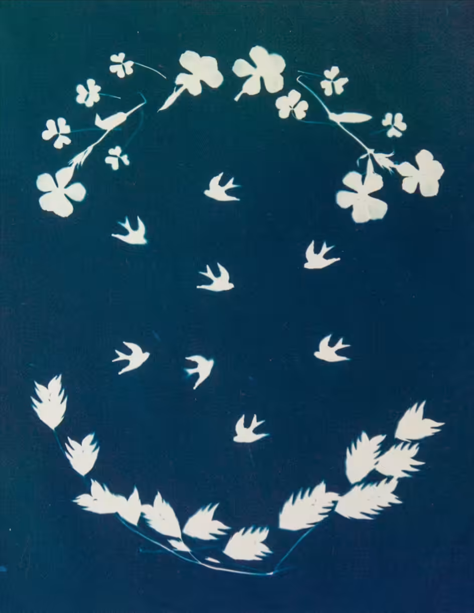 Wreath Cyanotype