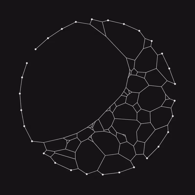Elastic Web #308