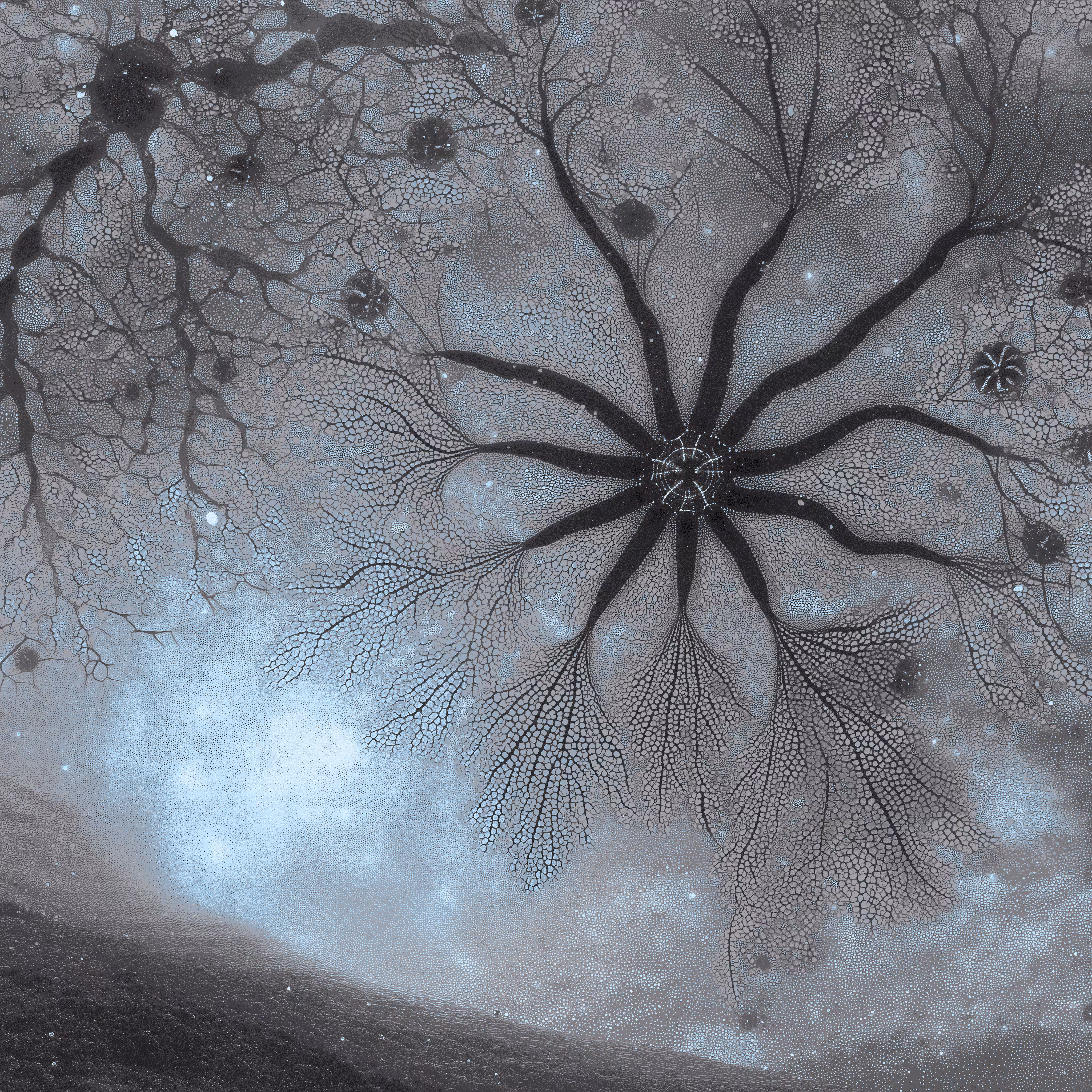 Catherine Starfish.