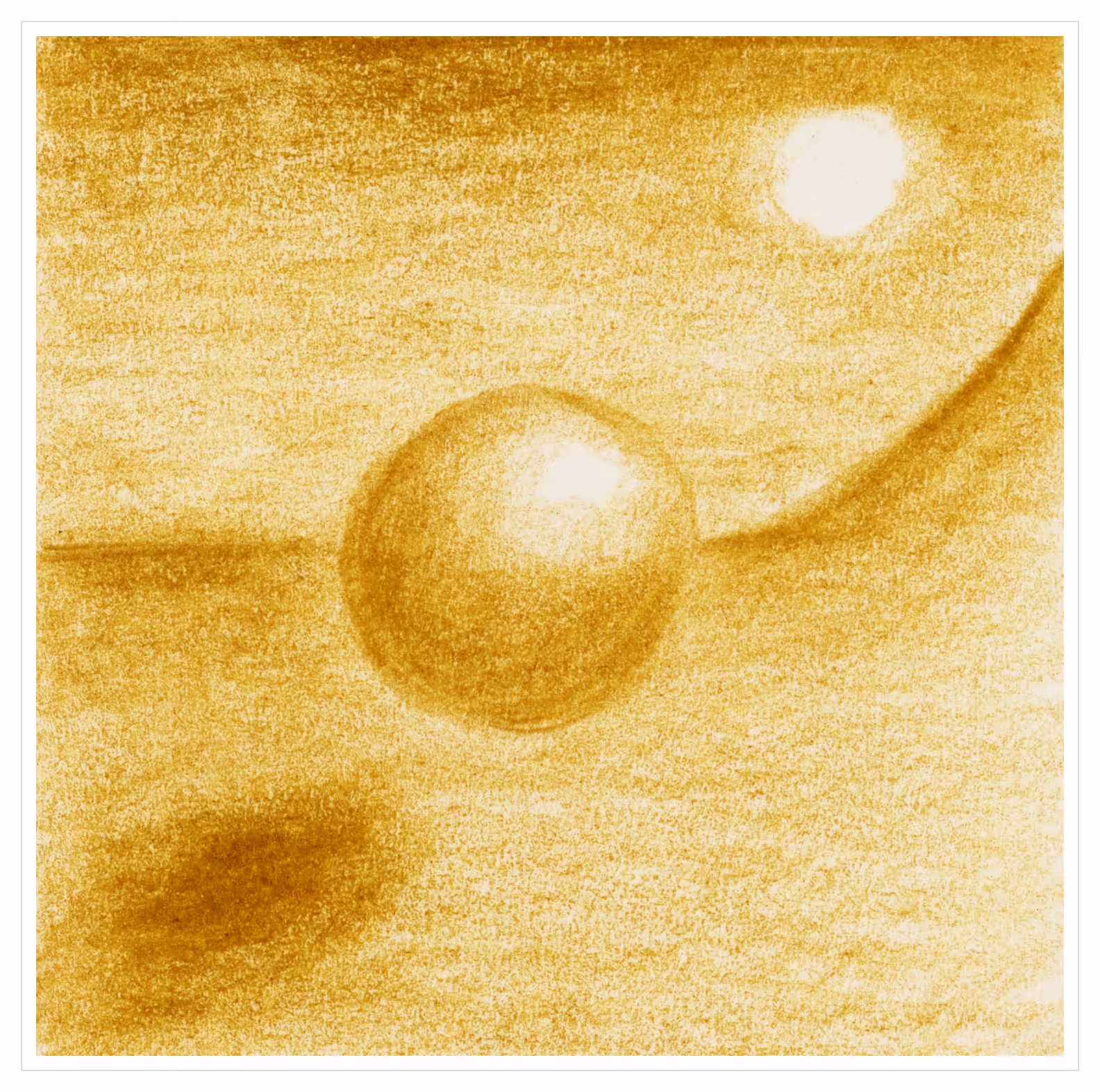 #180 - Raw umber