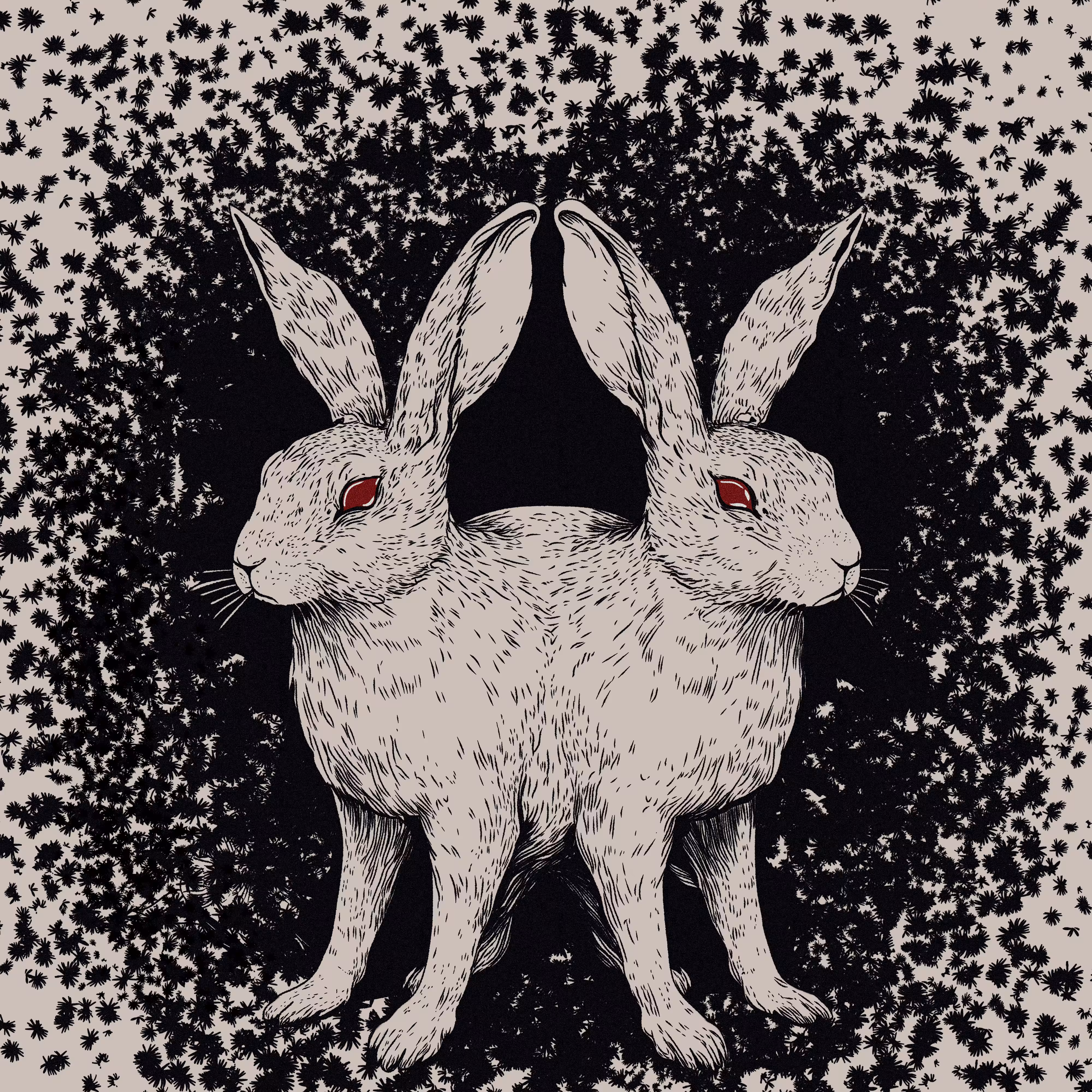 follow the white rabbit