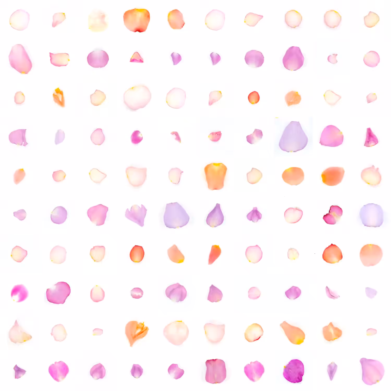 Infinite Petals 10x10#2822
