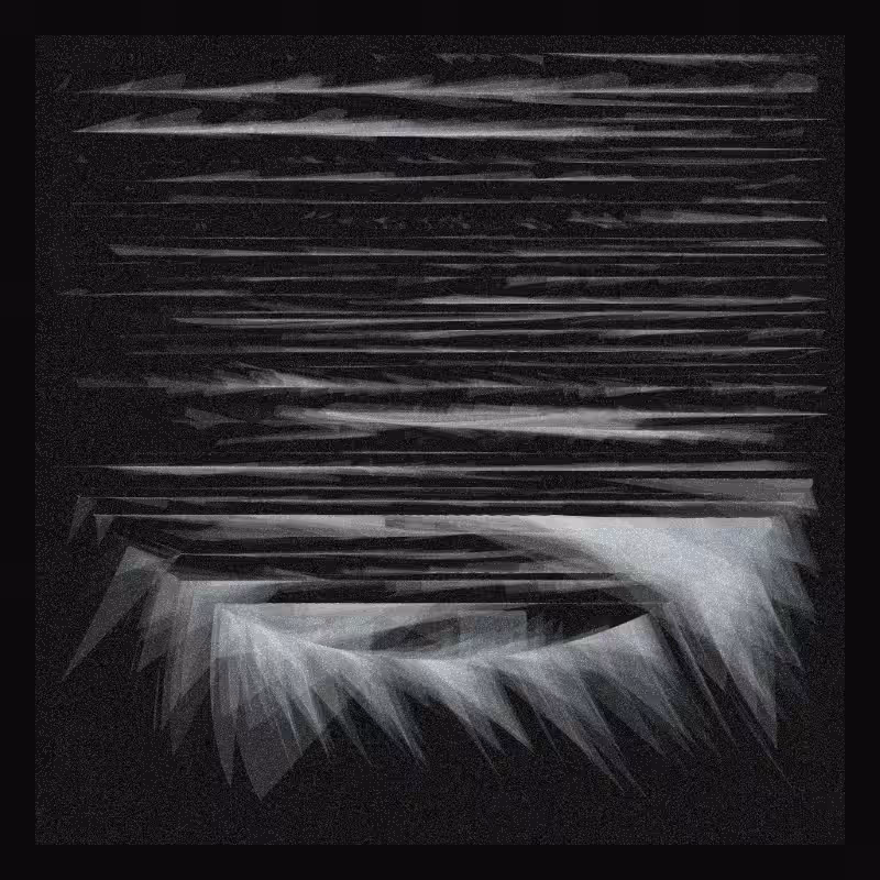 Velum #218