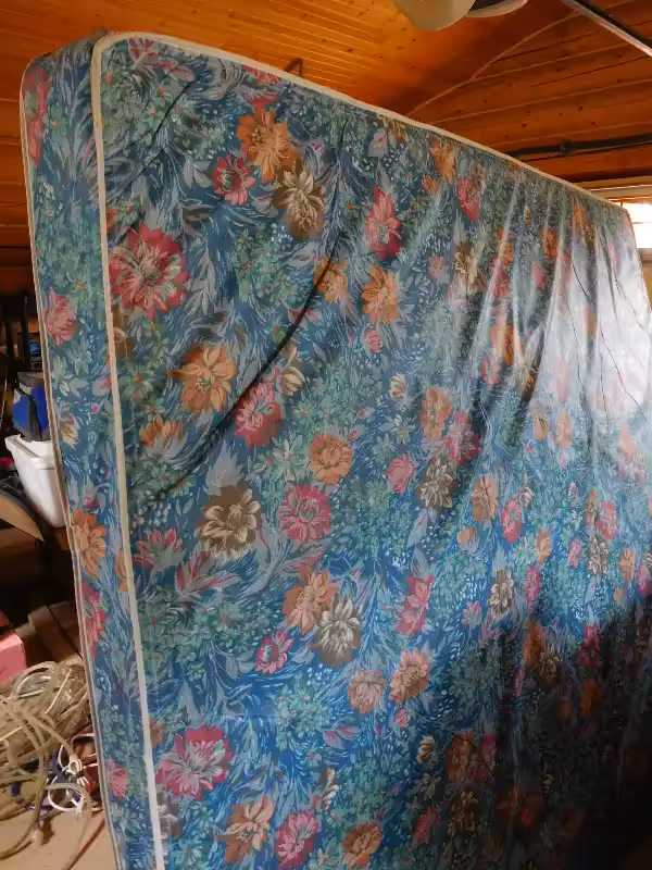Free King mattress