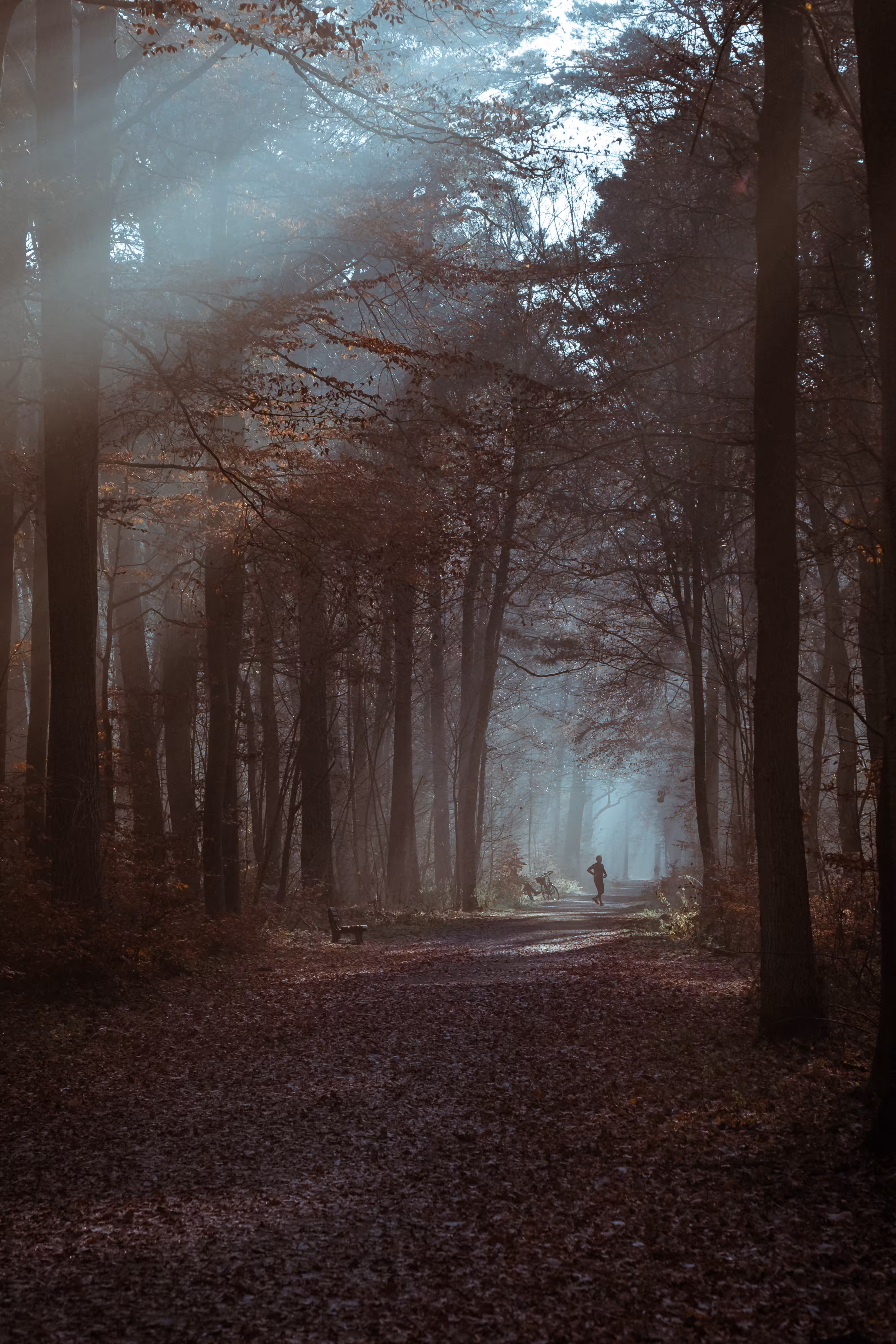 Mystical forest Part 4/5