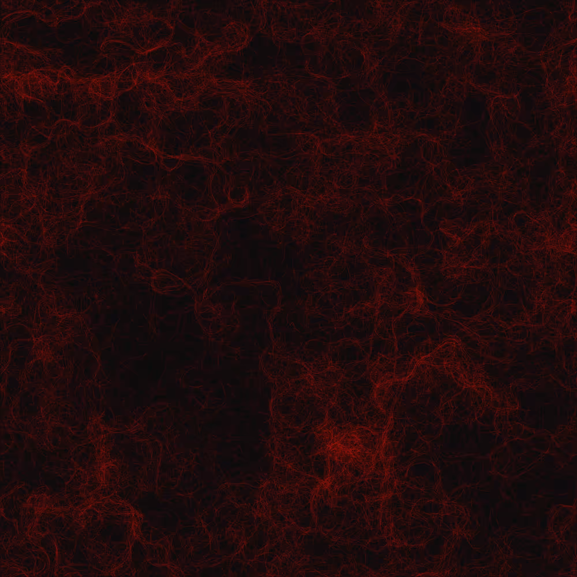 Neurons