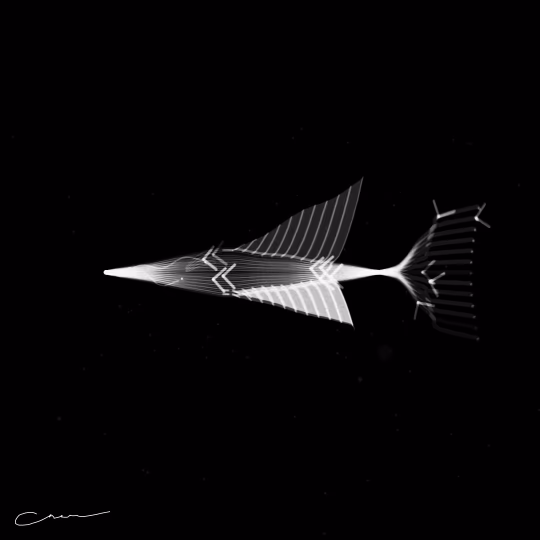 SoulFish #336