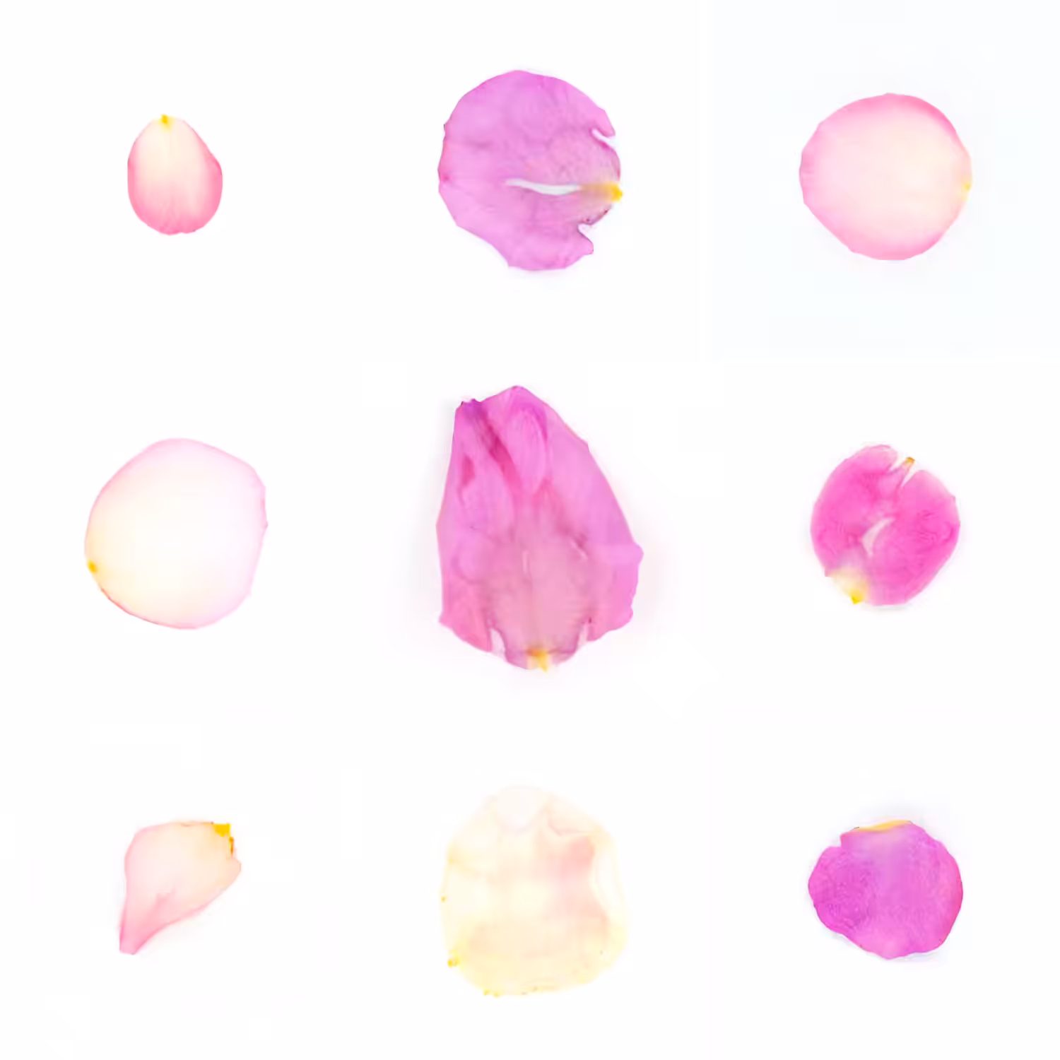 Infinite Petals 3x3#3510