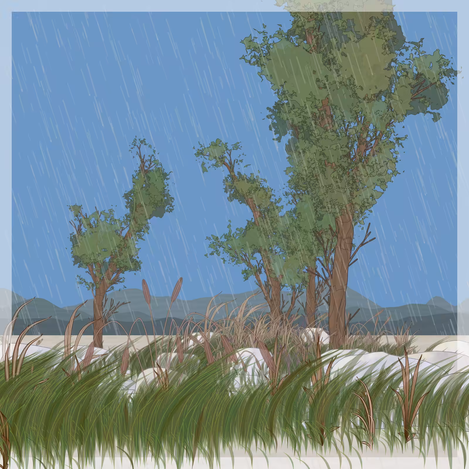 Rain Ritual #215