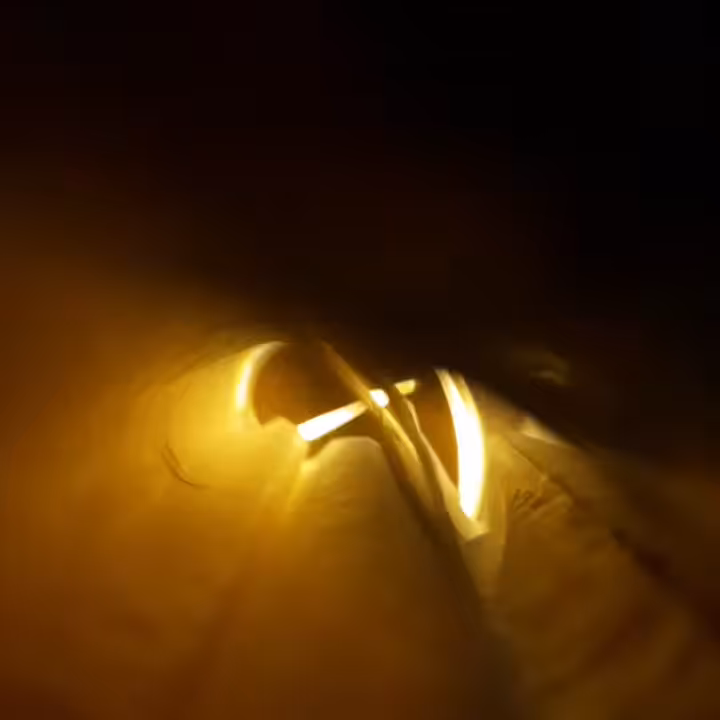 Inside the tree: Existence