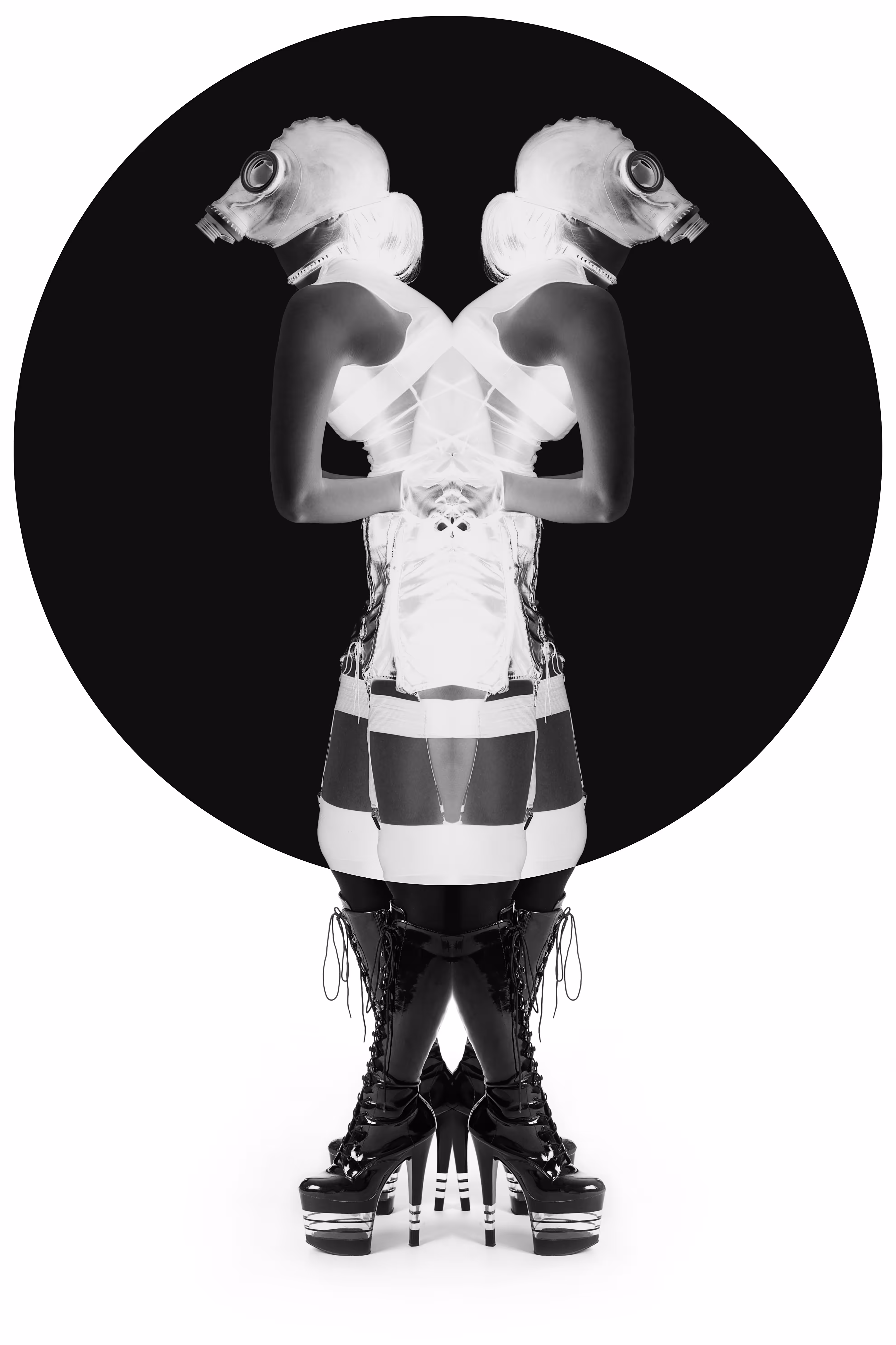 [Cyamese] II