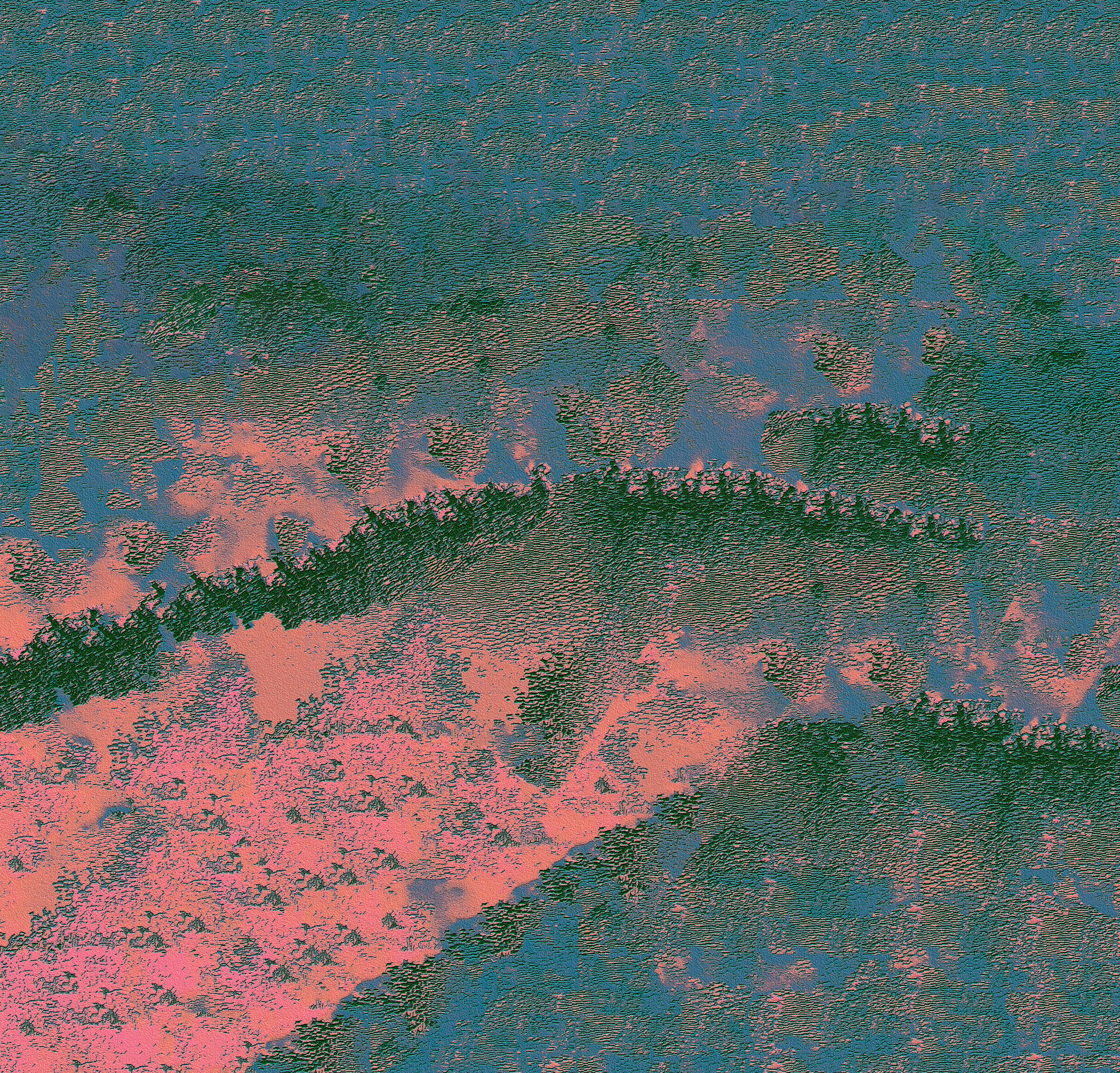 Wildflowers LXXVI