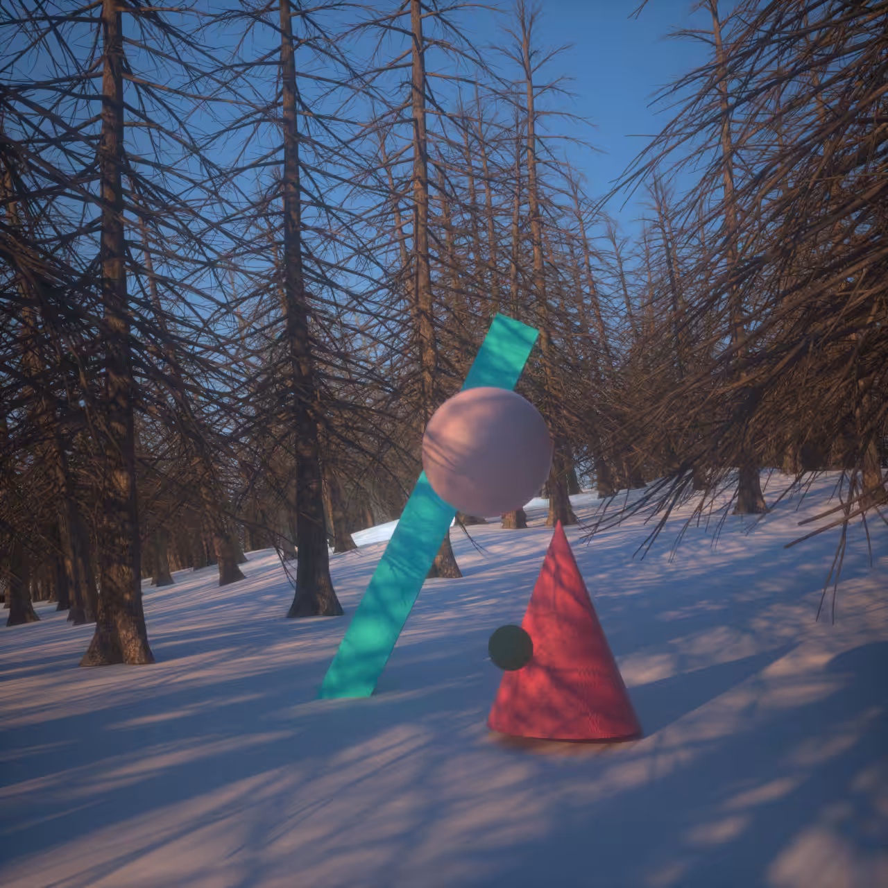 Shapes in the Forest