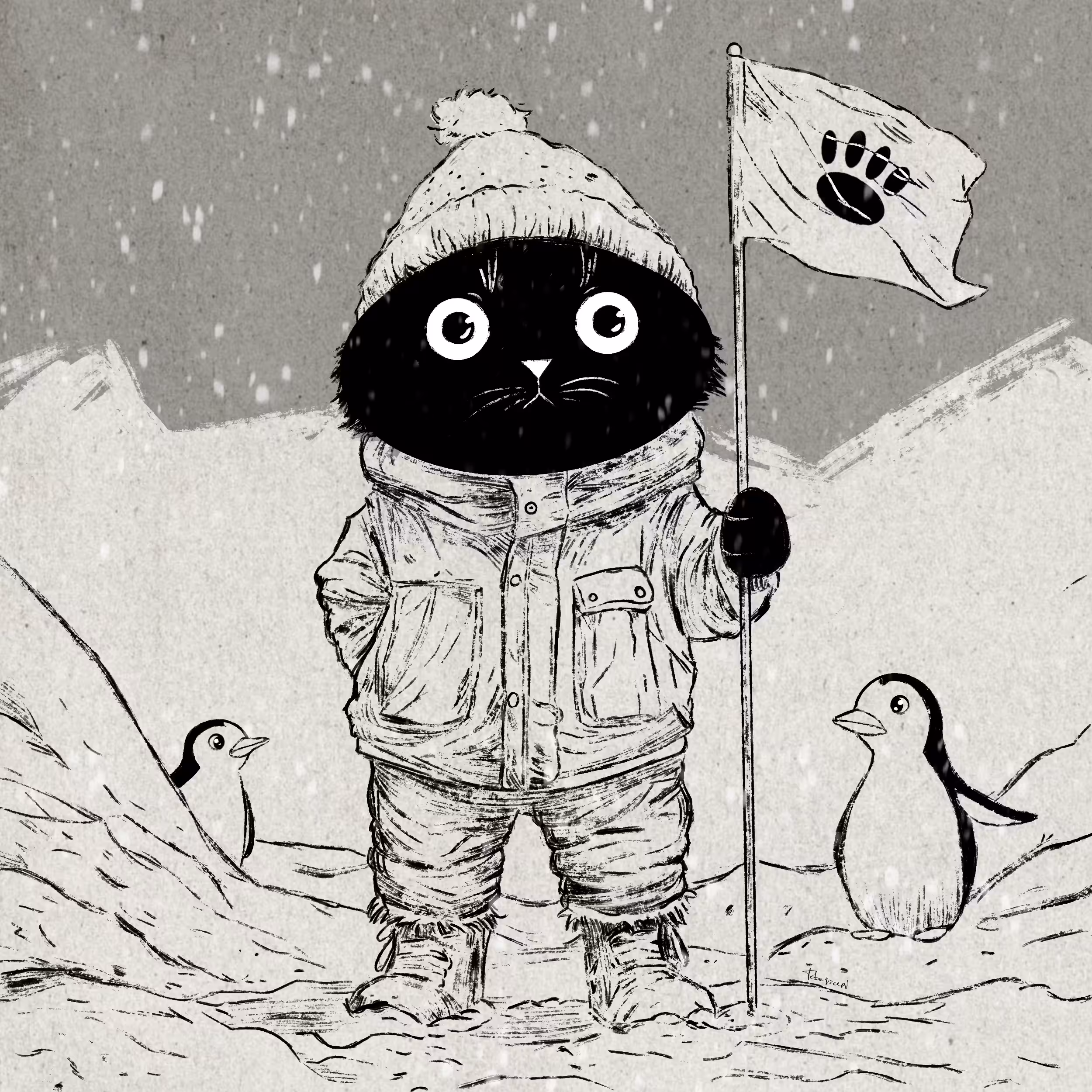 Expedition