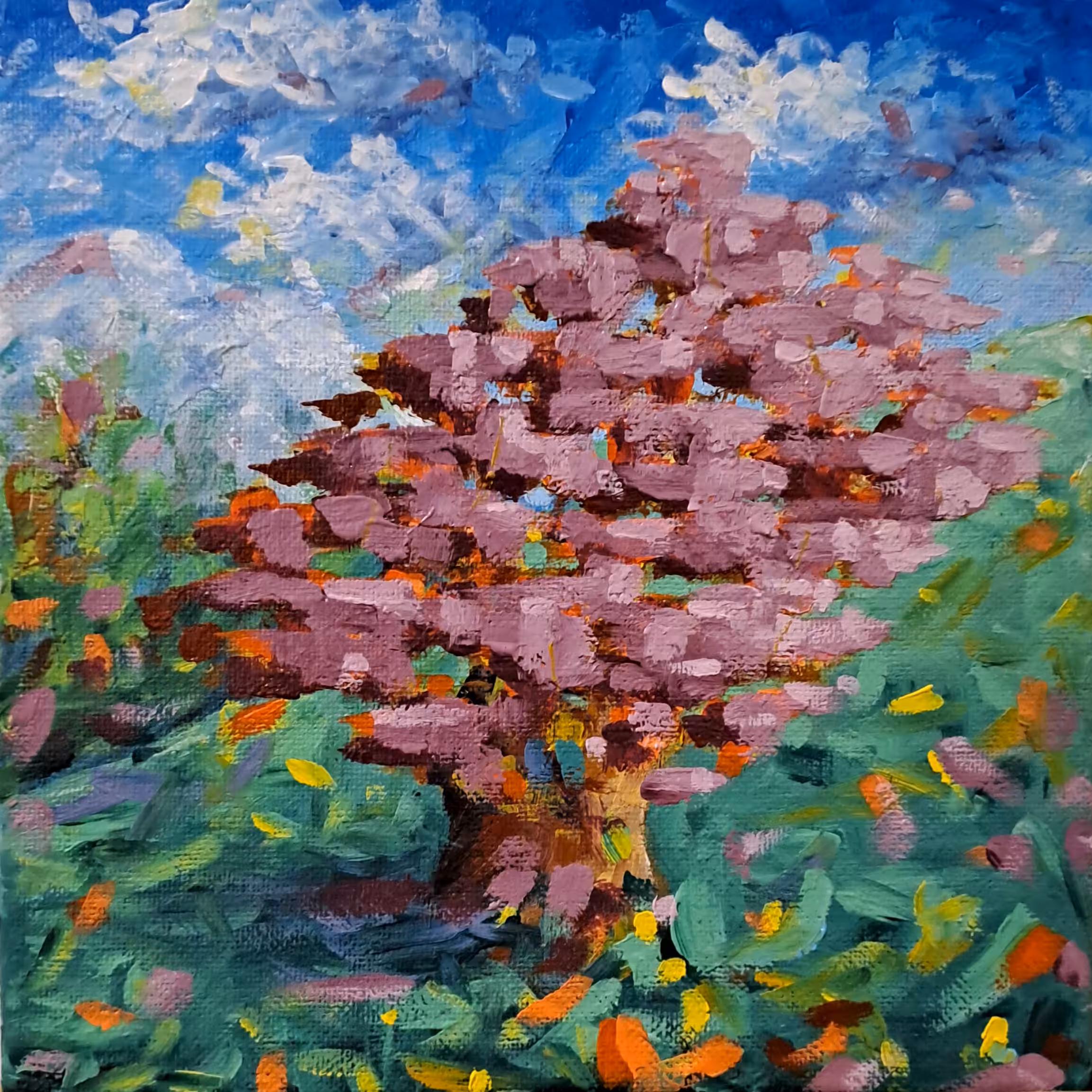 Life Of A Cedar  #36