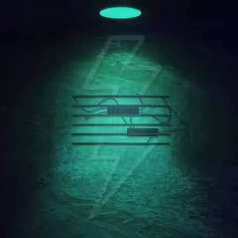 NFT 
