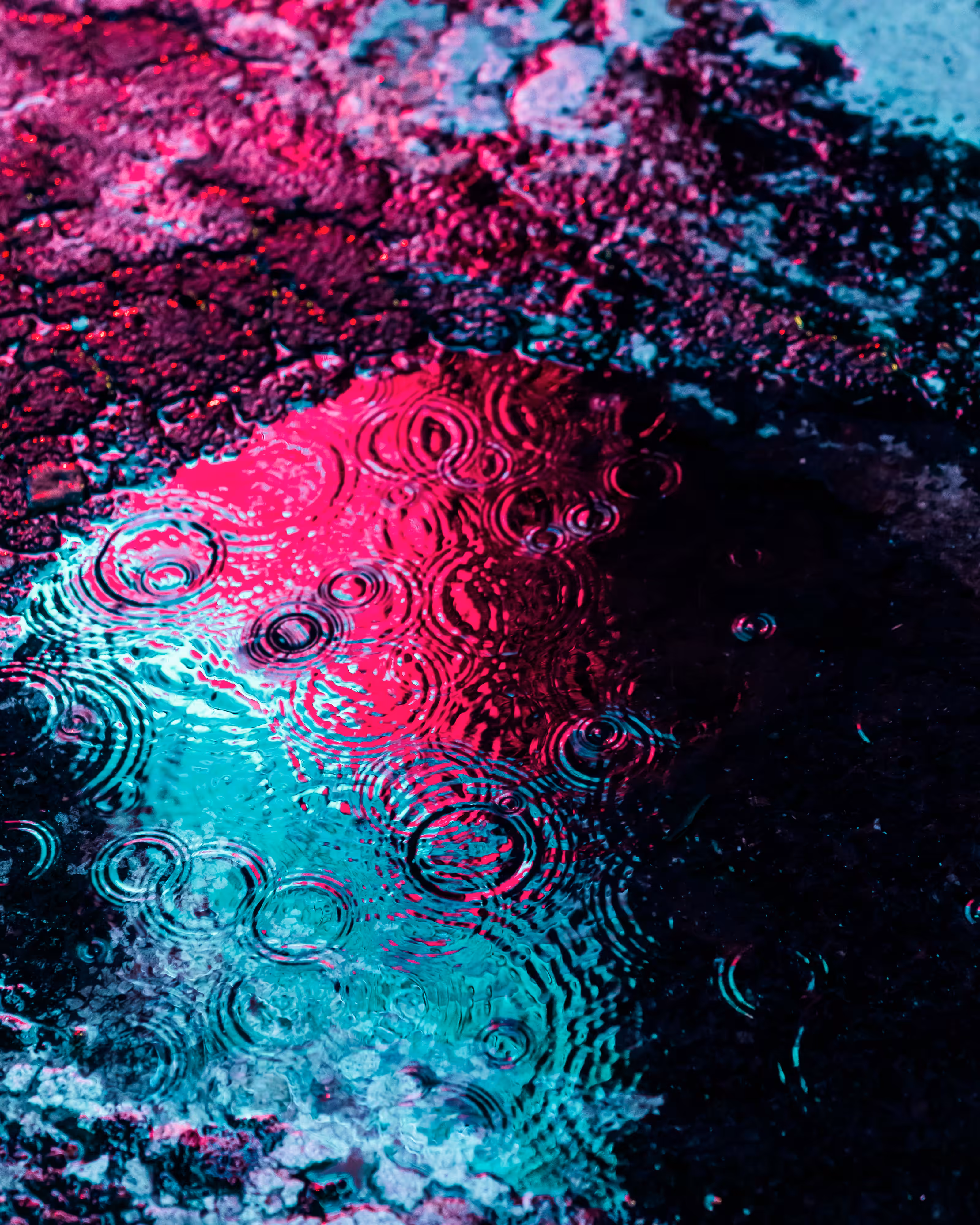 DRIP DROP: DRIP #212