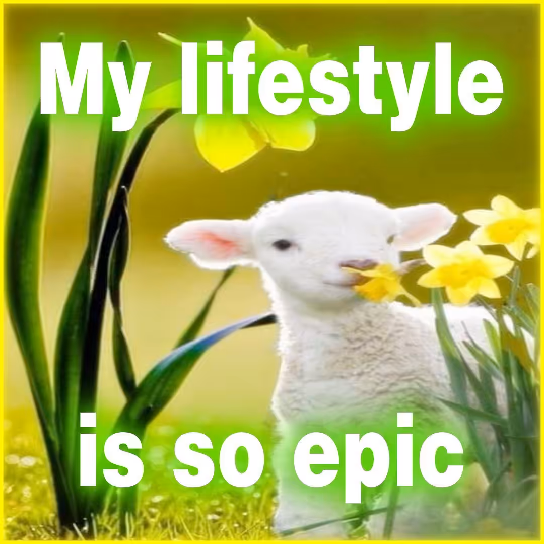 AFFIRMATIONS