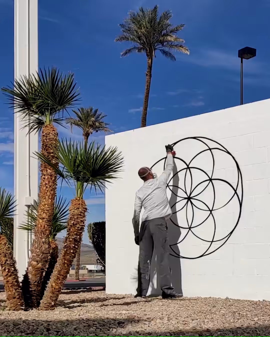 Seed of Life | Bond Truluv | Geograffiti