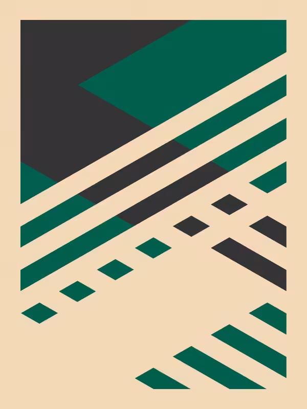 Woven #4