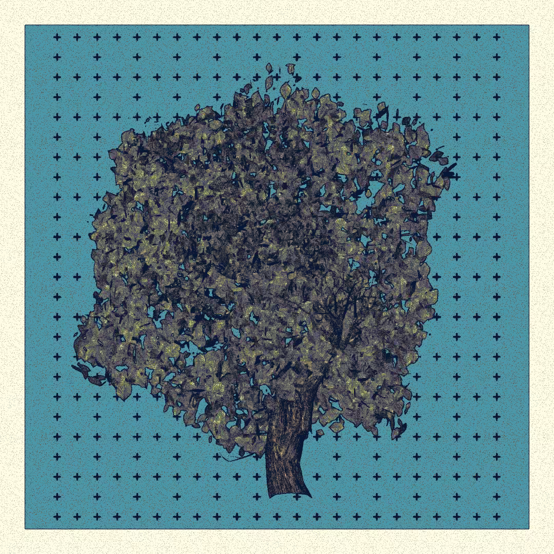 _argania[primaria] #98