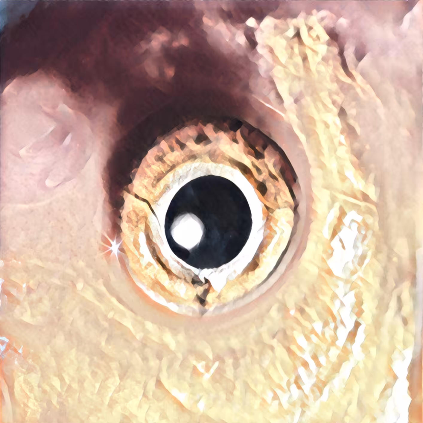 The eyes those silent tongues of love #7