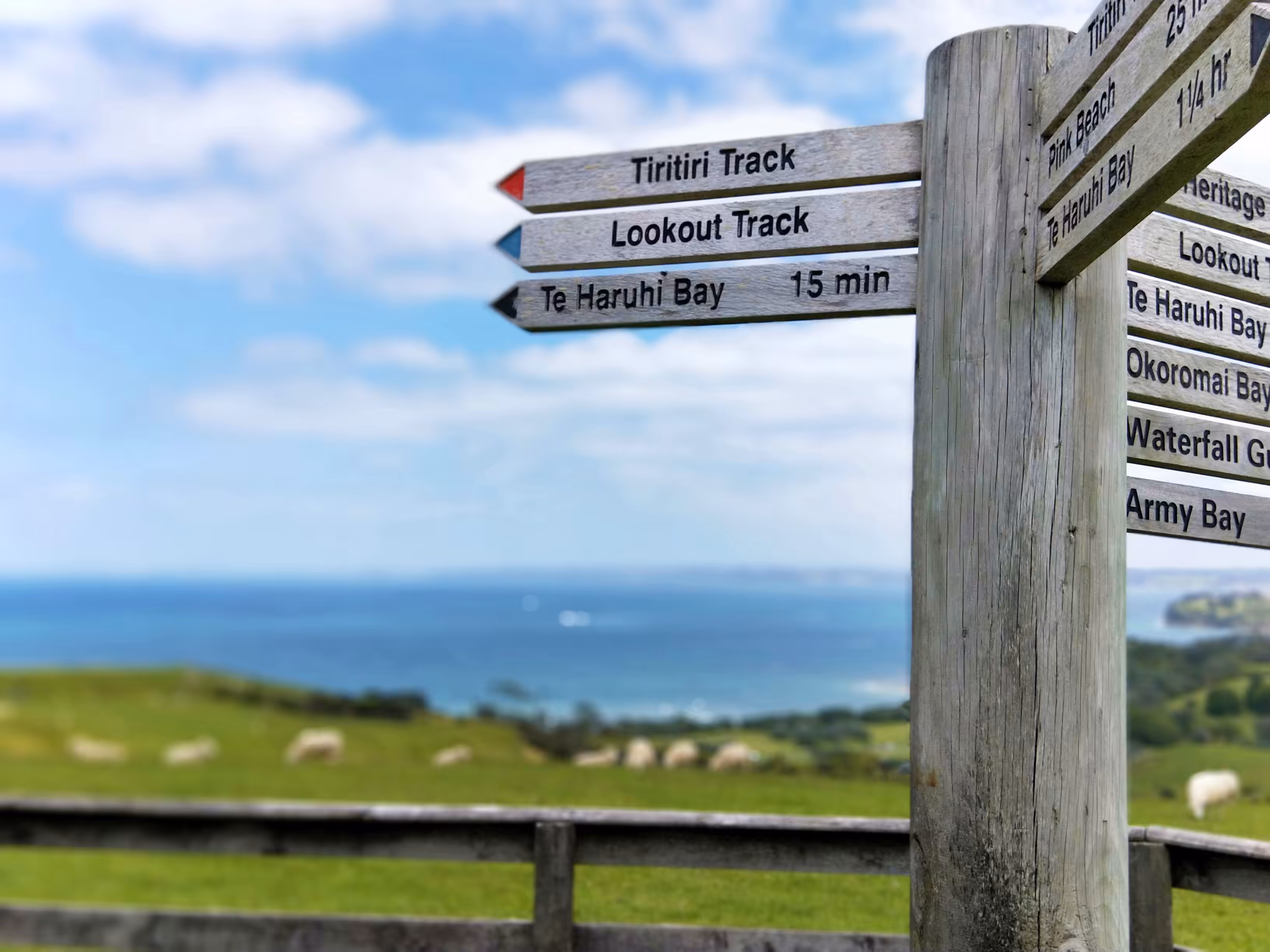 Shakespear Regional Park