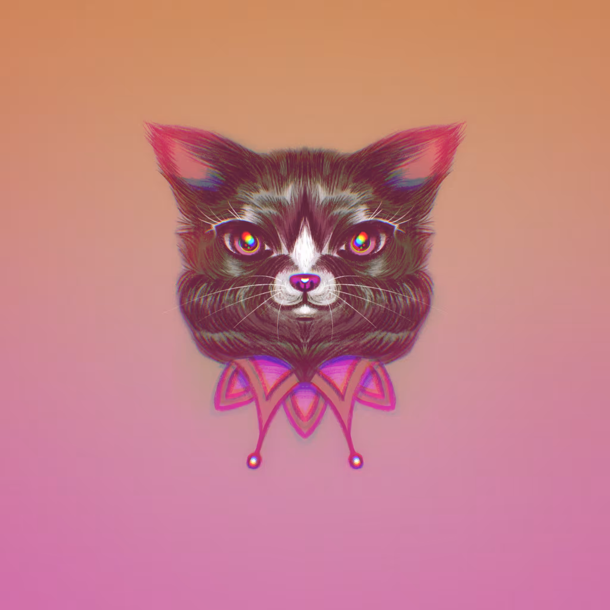 Cat 010