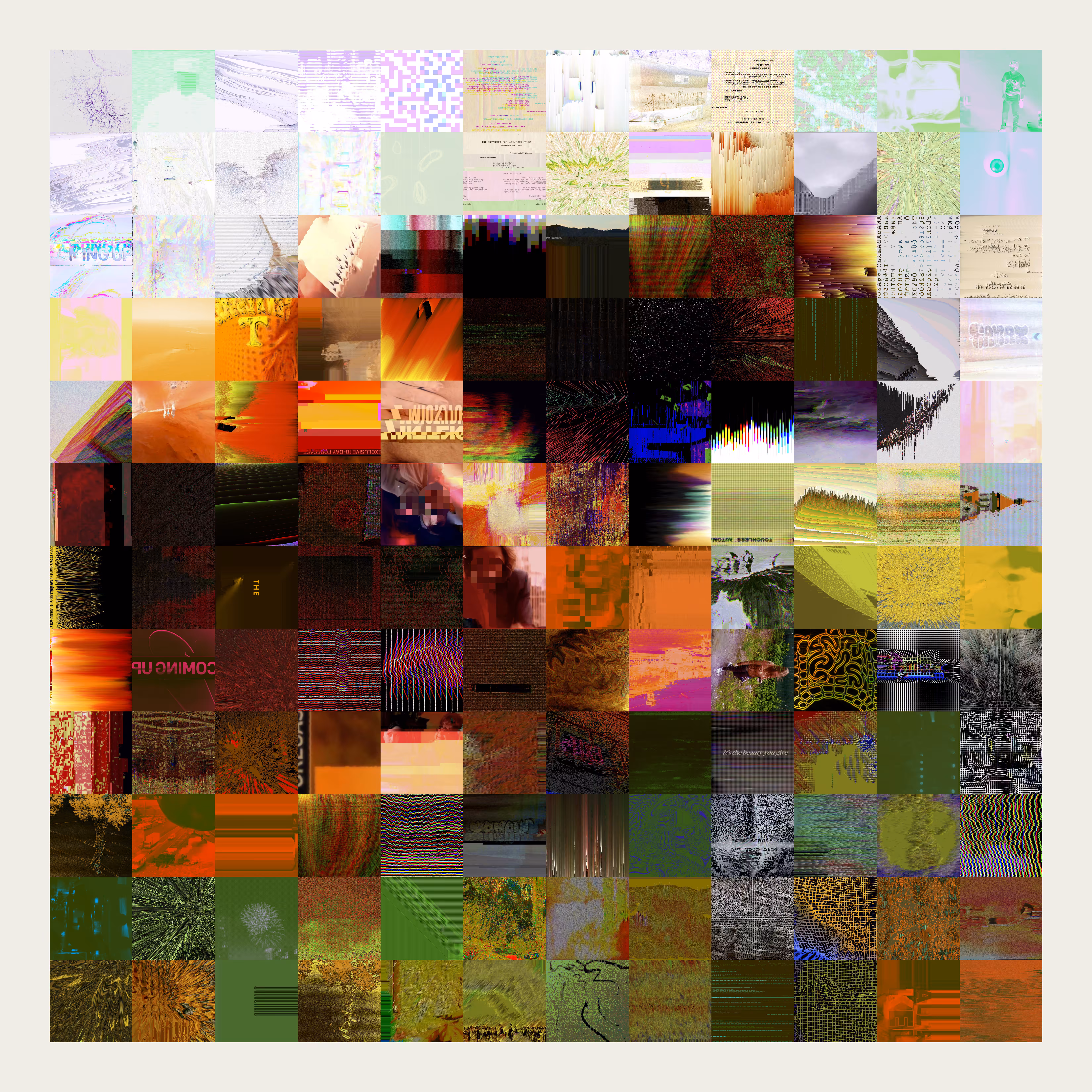 Cow