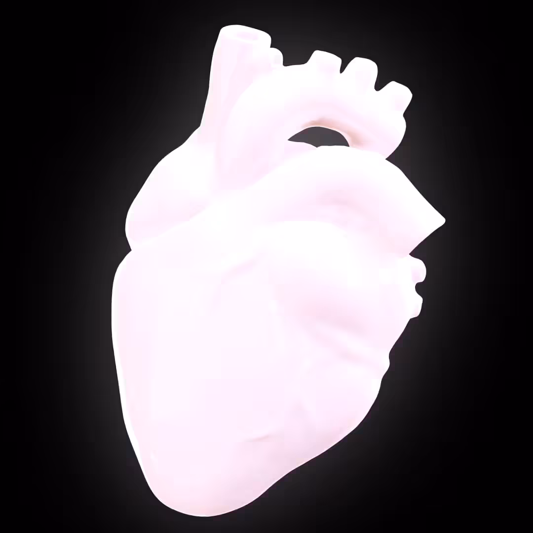 heart worms