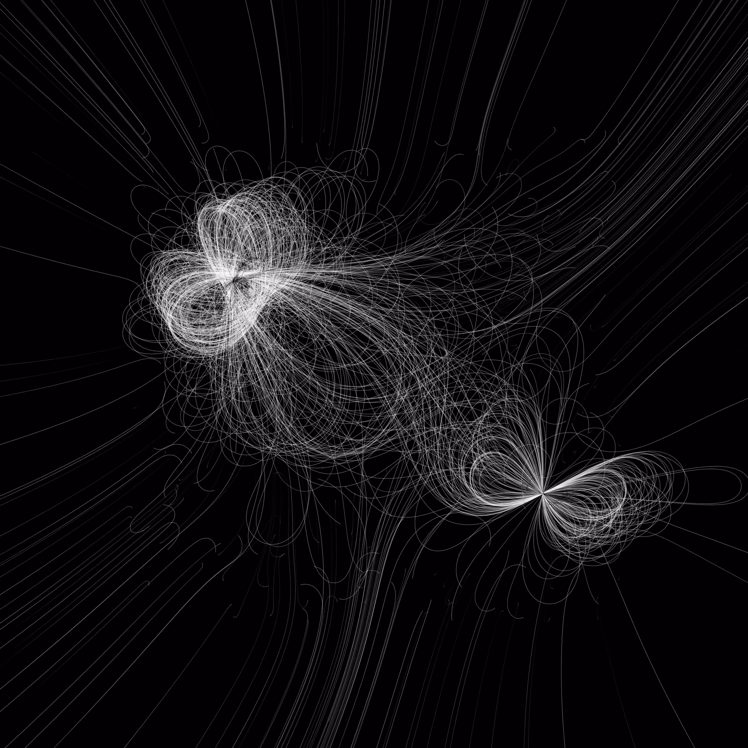 Phototaxis #557