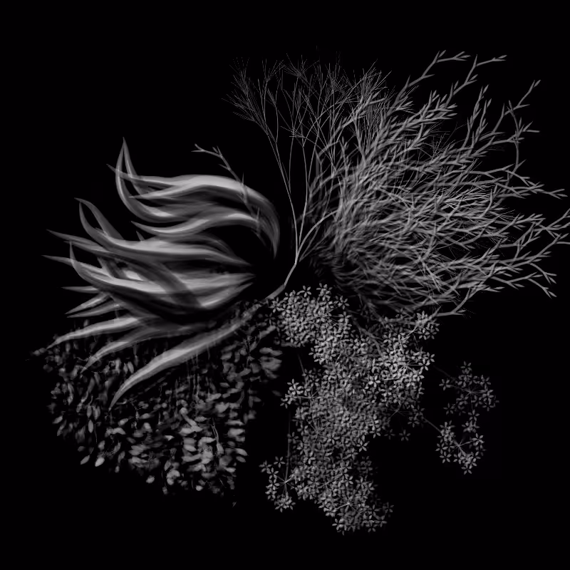 Botanical Ghosts #231
