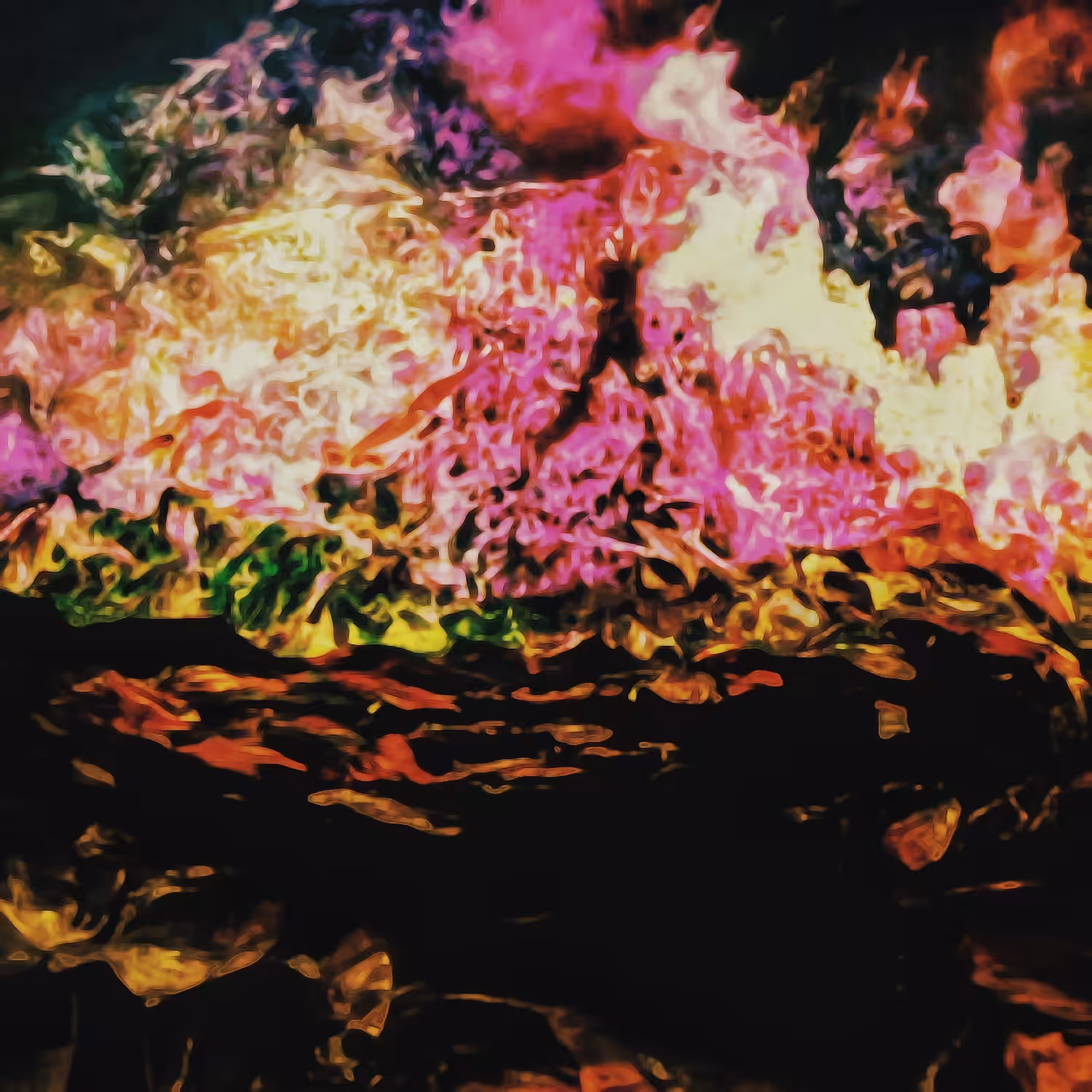 Mountain on Fire