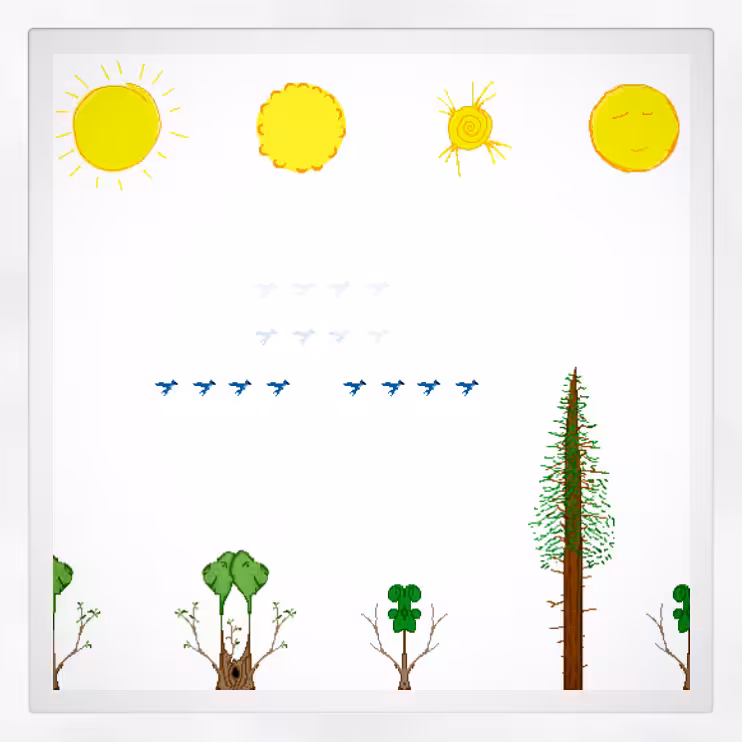 Framed Four Suns, Four Symmetrees, Eight Scrub-Jays in Light, Eight Scrub-Jays in Mist, Single Coastal Redwood