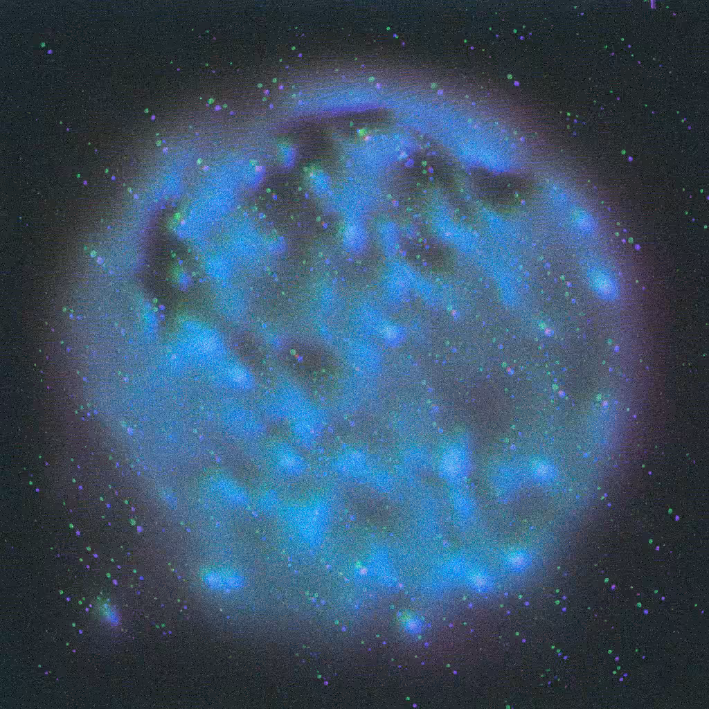 azul