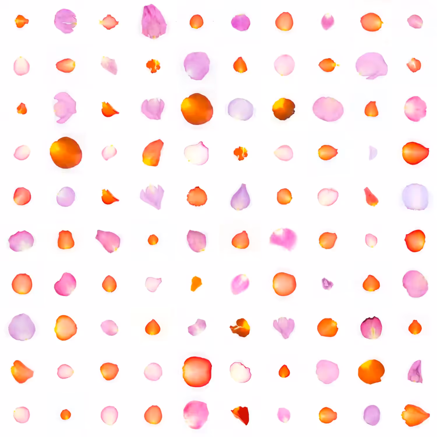 Infinite Petals 10x10#10115
