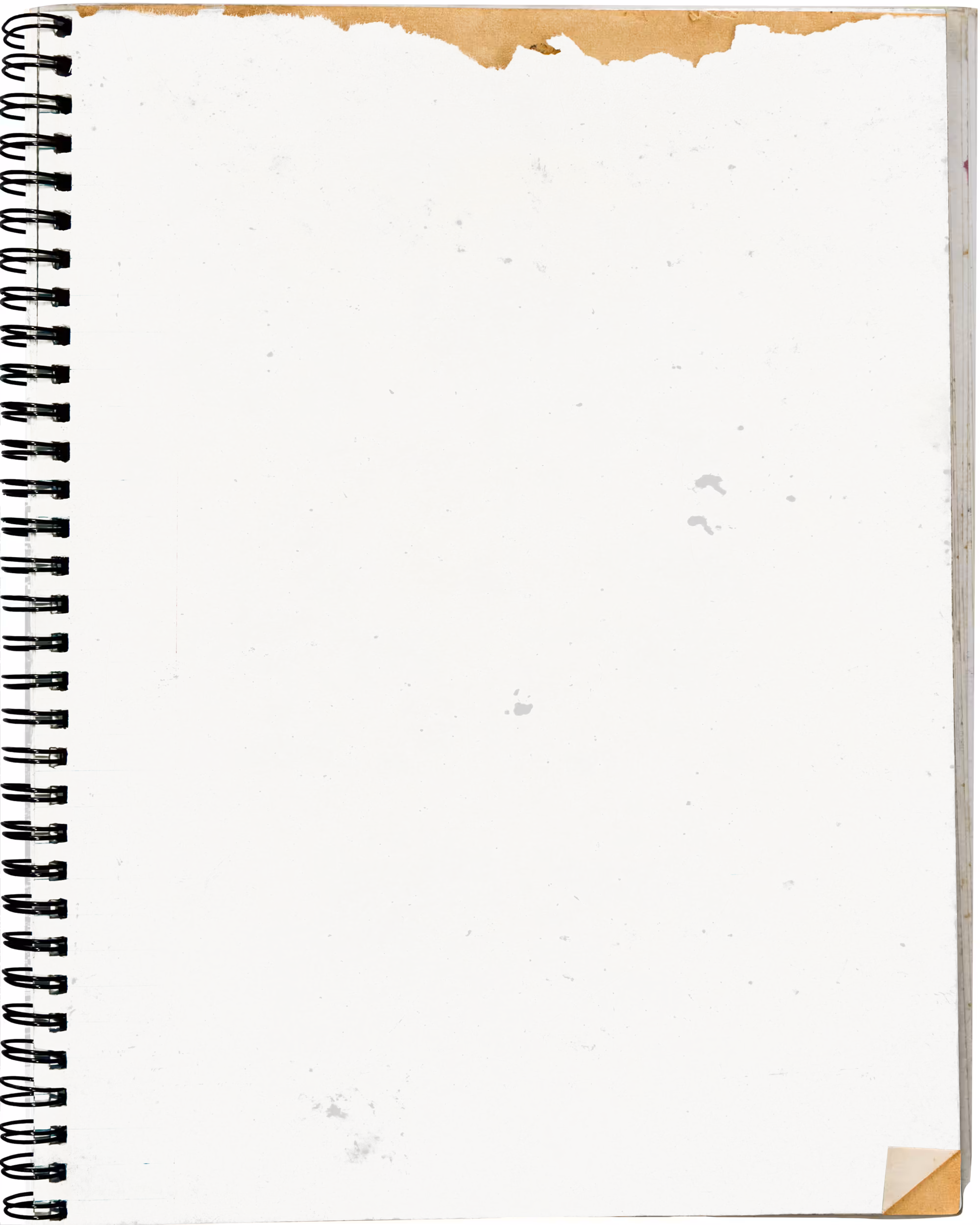 SLIMESHOP - Crusty Journal - #3695