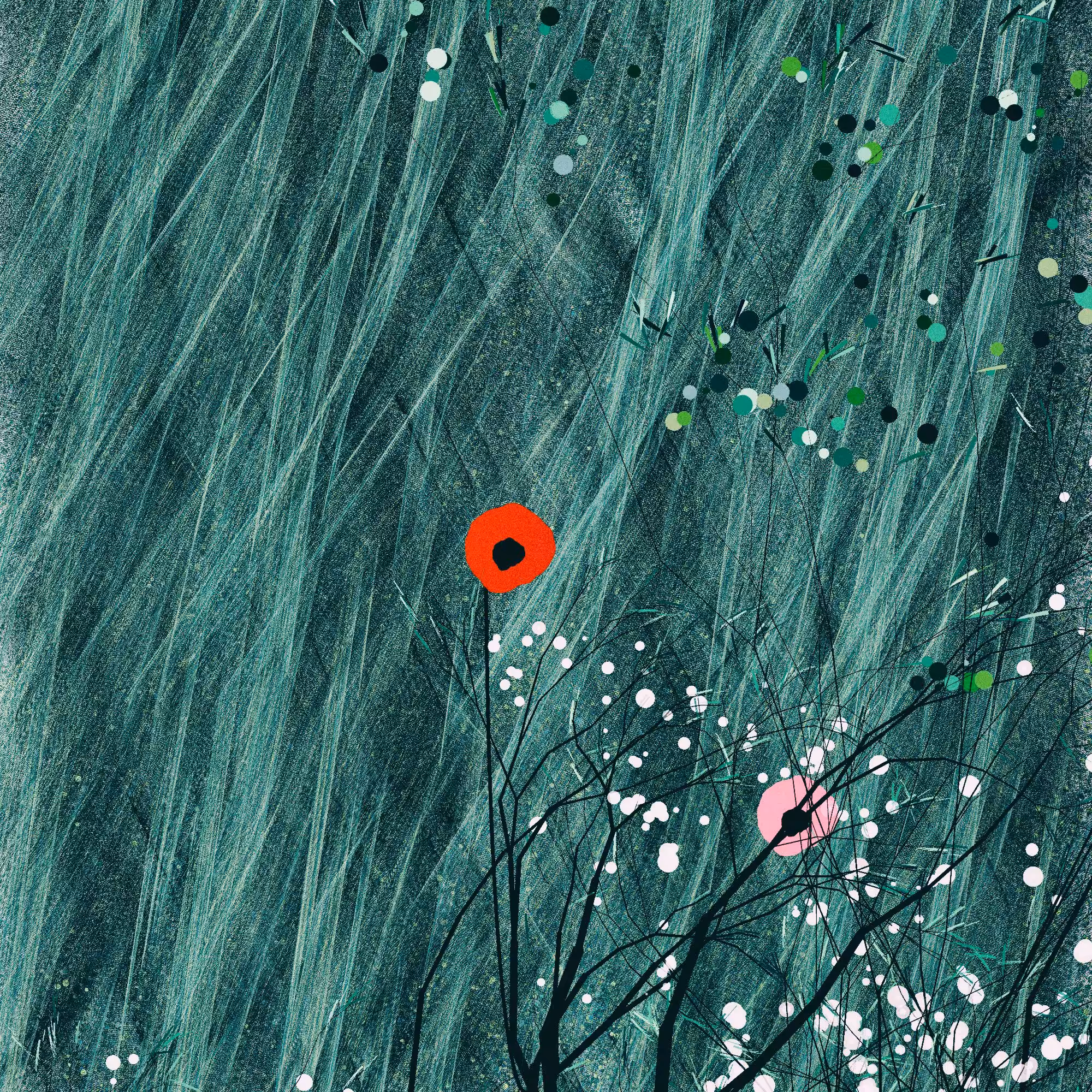 Red poppy in meadow