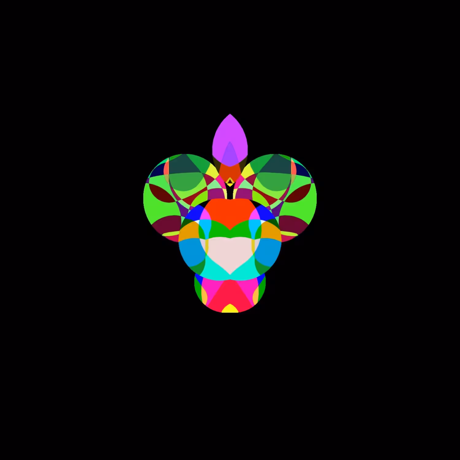 Phalaenopsis Hainanensis