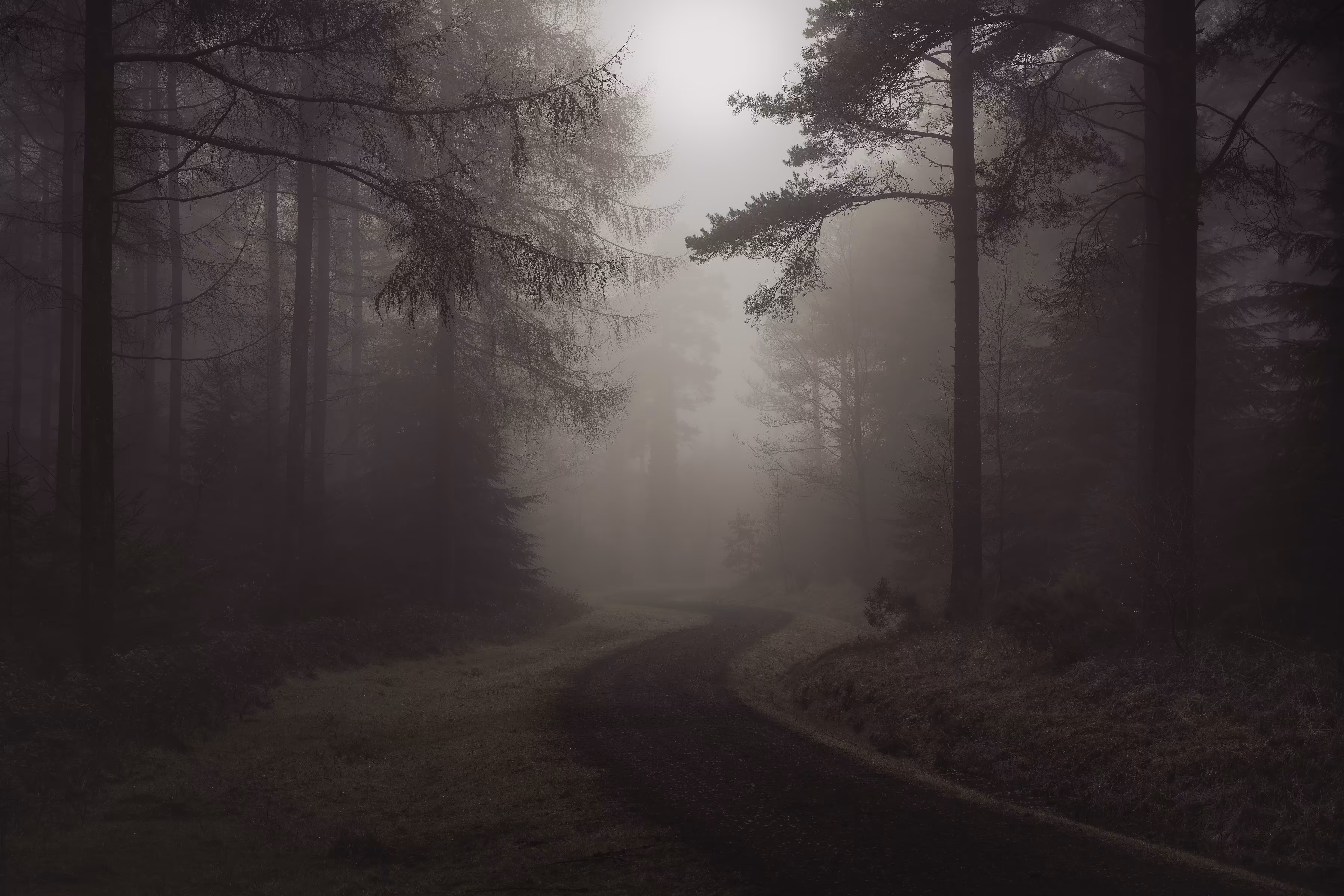 FAIRYTALE