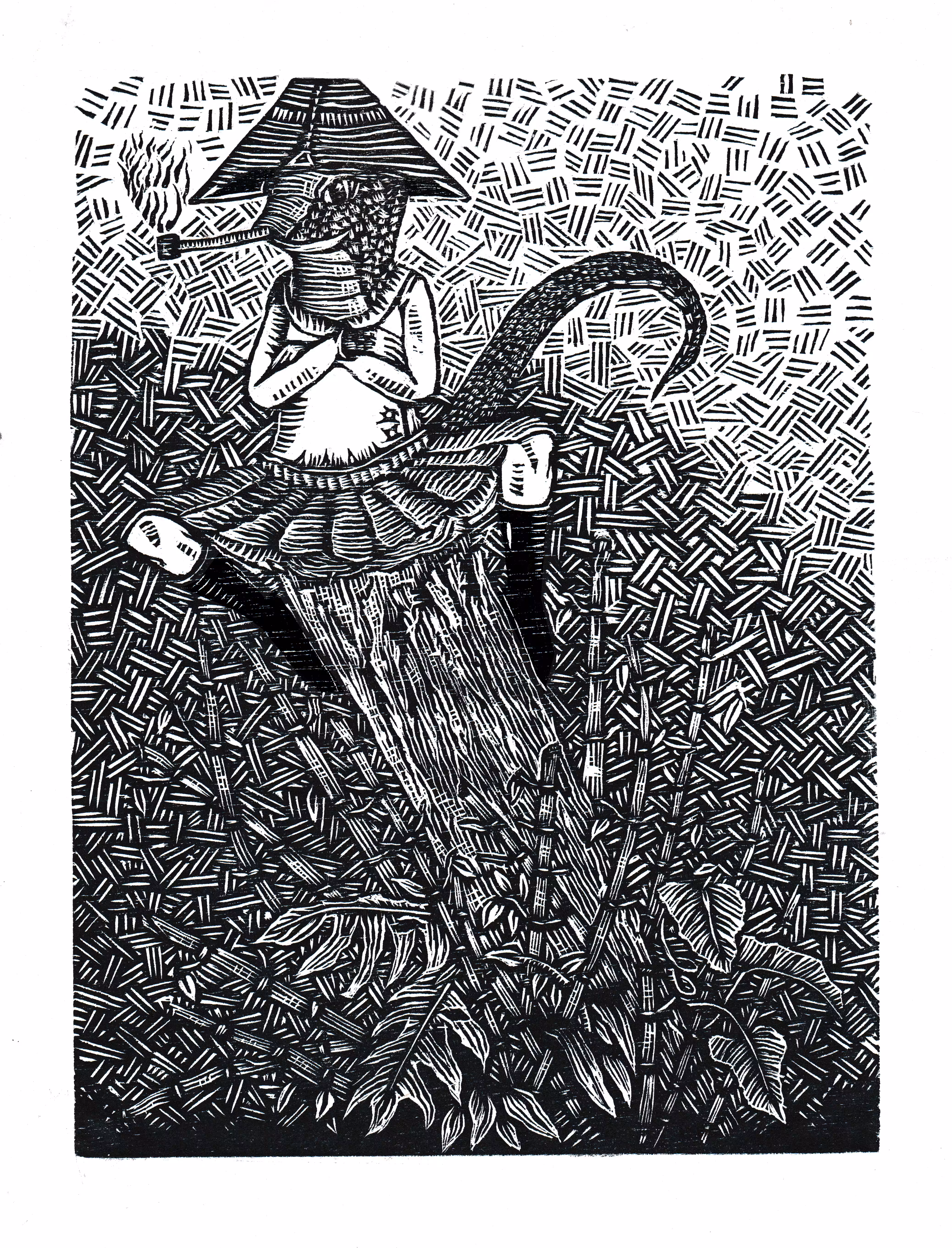 The lizard
