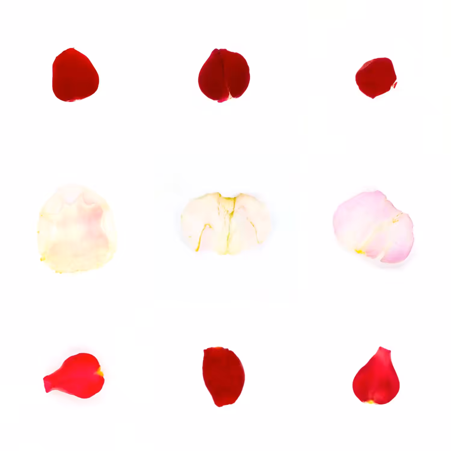 Infinite Petals 3x3#2769